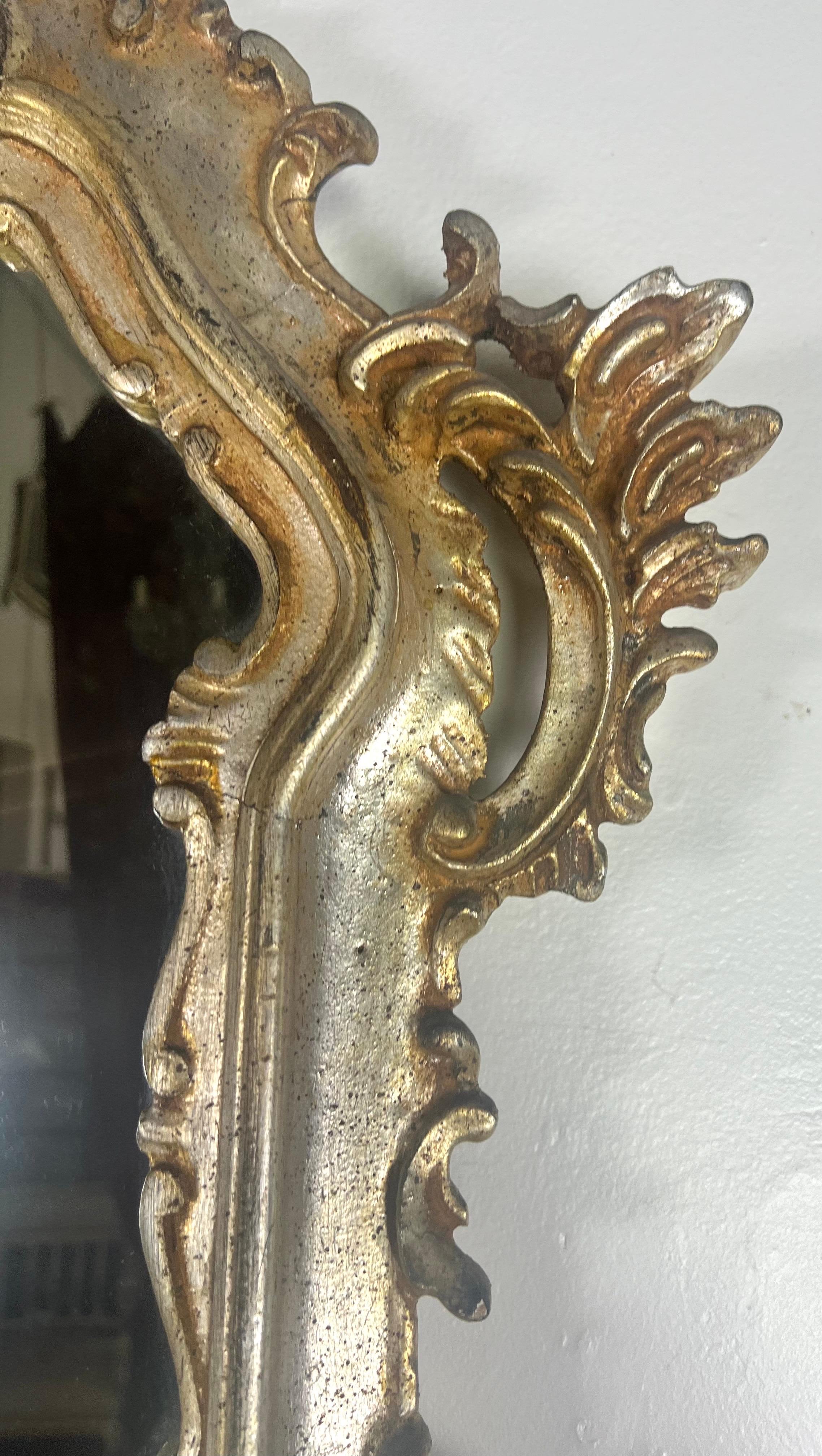 Hand-Carved 19th C. Rococo Style Gilt Wood Mirror