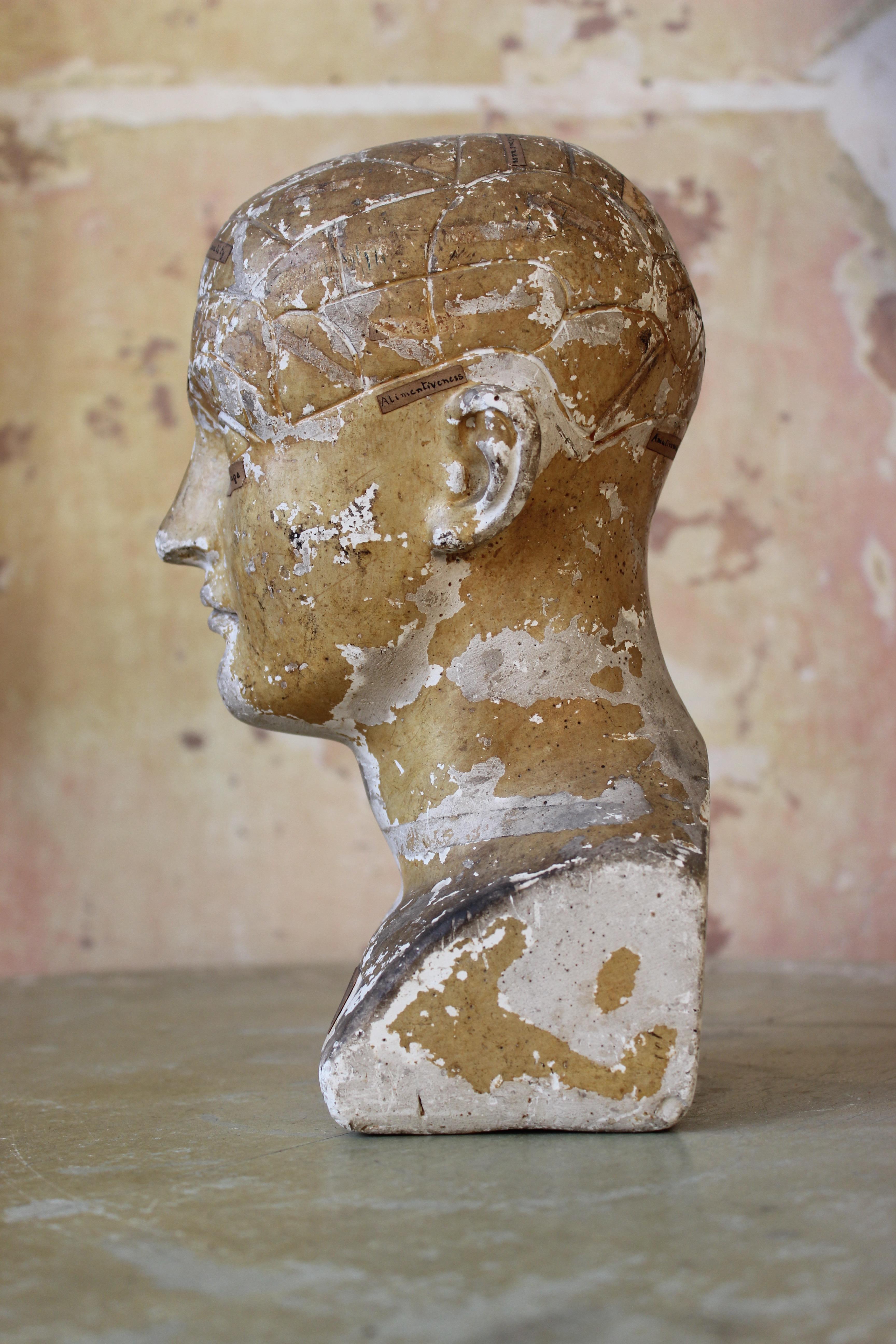 19th C Scientific James DeVille L N Fowler Phrenology Plaster Bust Head Curio  For Sale 5