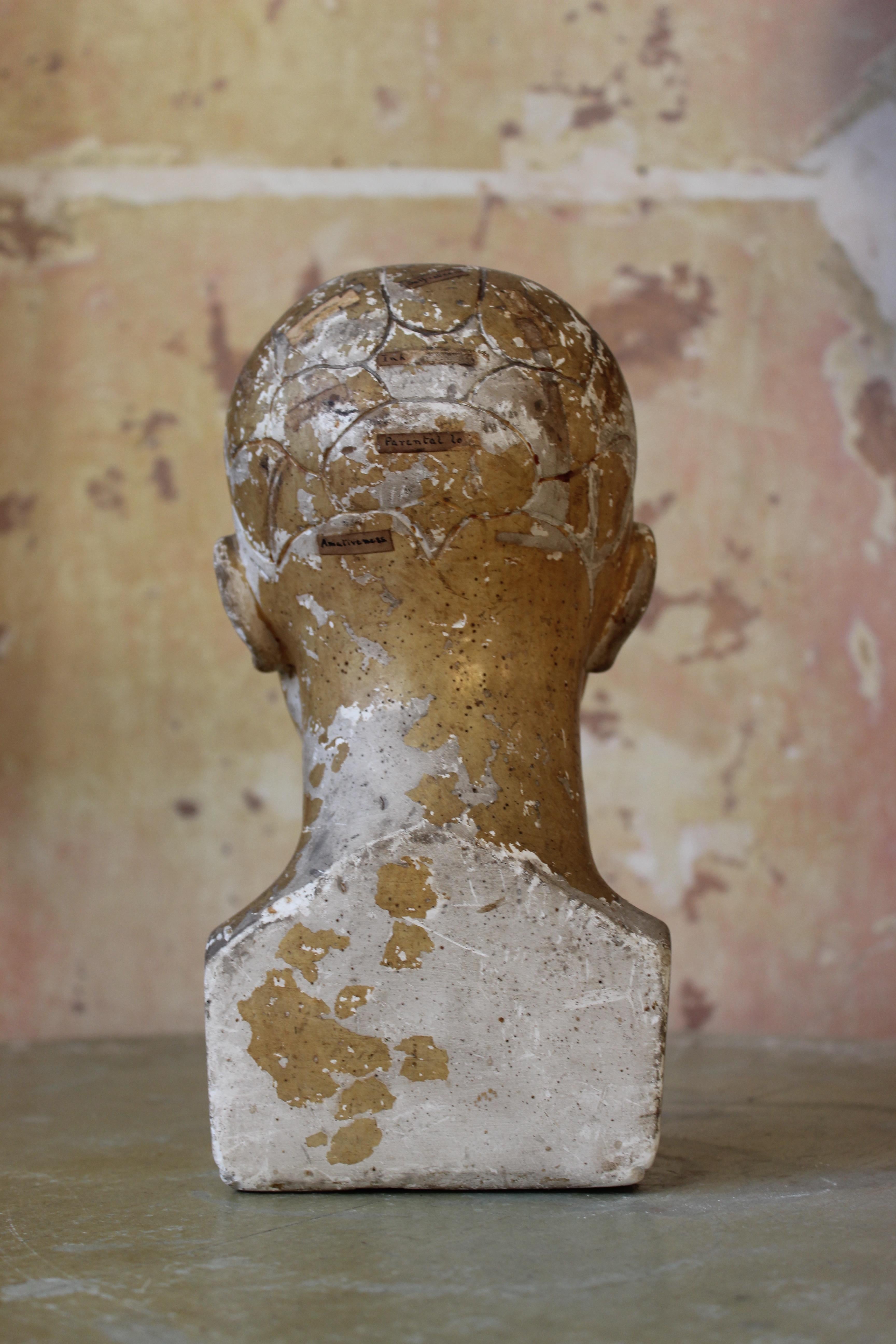 19th C Scientific James DeVille L N Fowler Phrenology Plaster Bust Head Curio  For Sale 3
