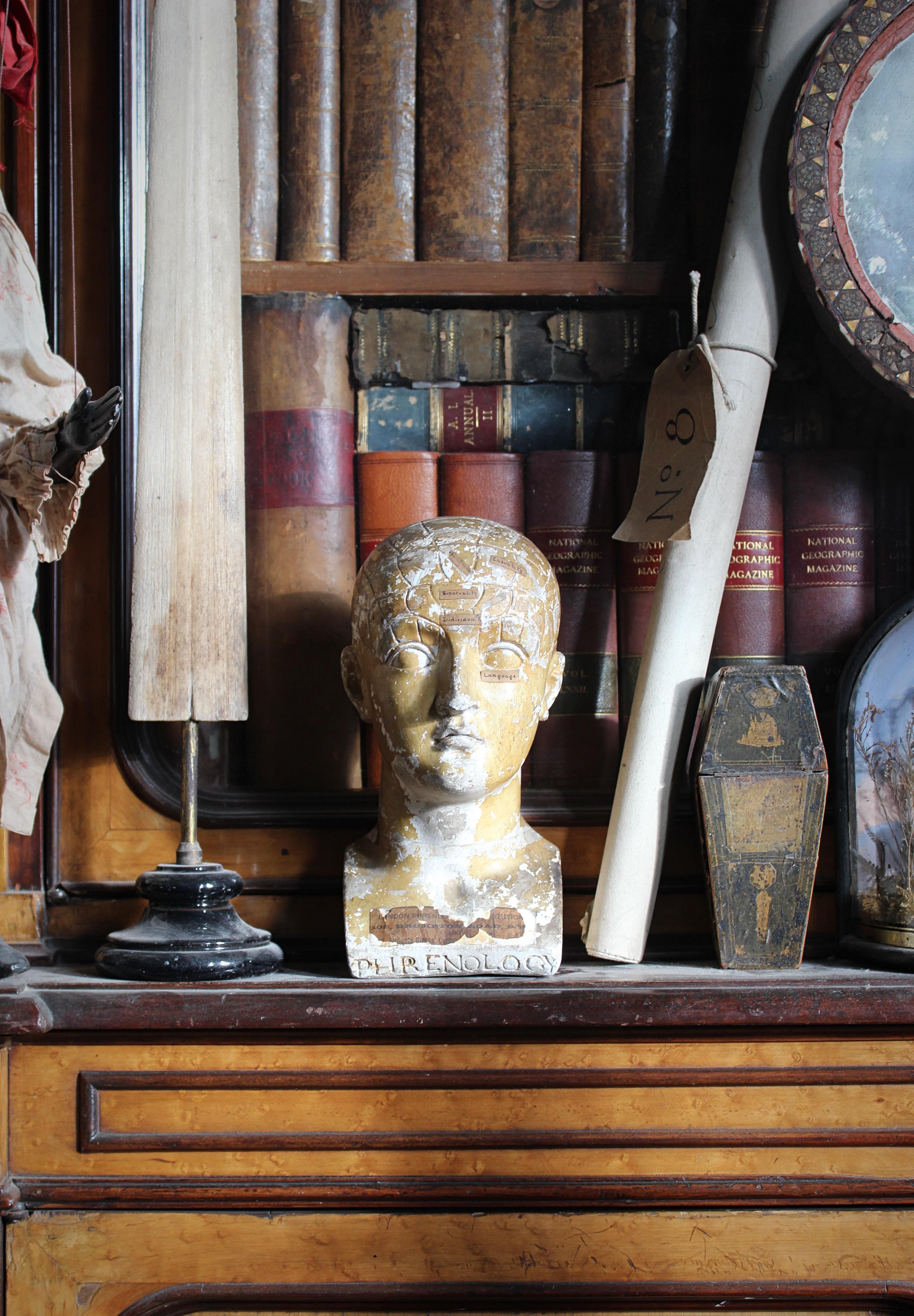 A larger than the normal plaster cast phrenology head, with its original painted finish and paper labels.

The original makers label is partially missing leaving it a bit of a mystery, we believe the maker to be L.N Fowler who once operated at