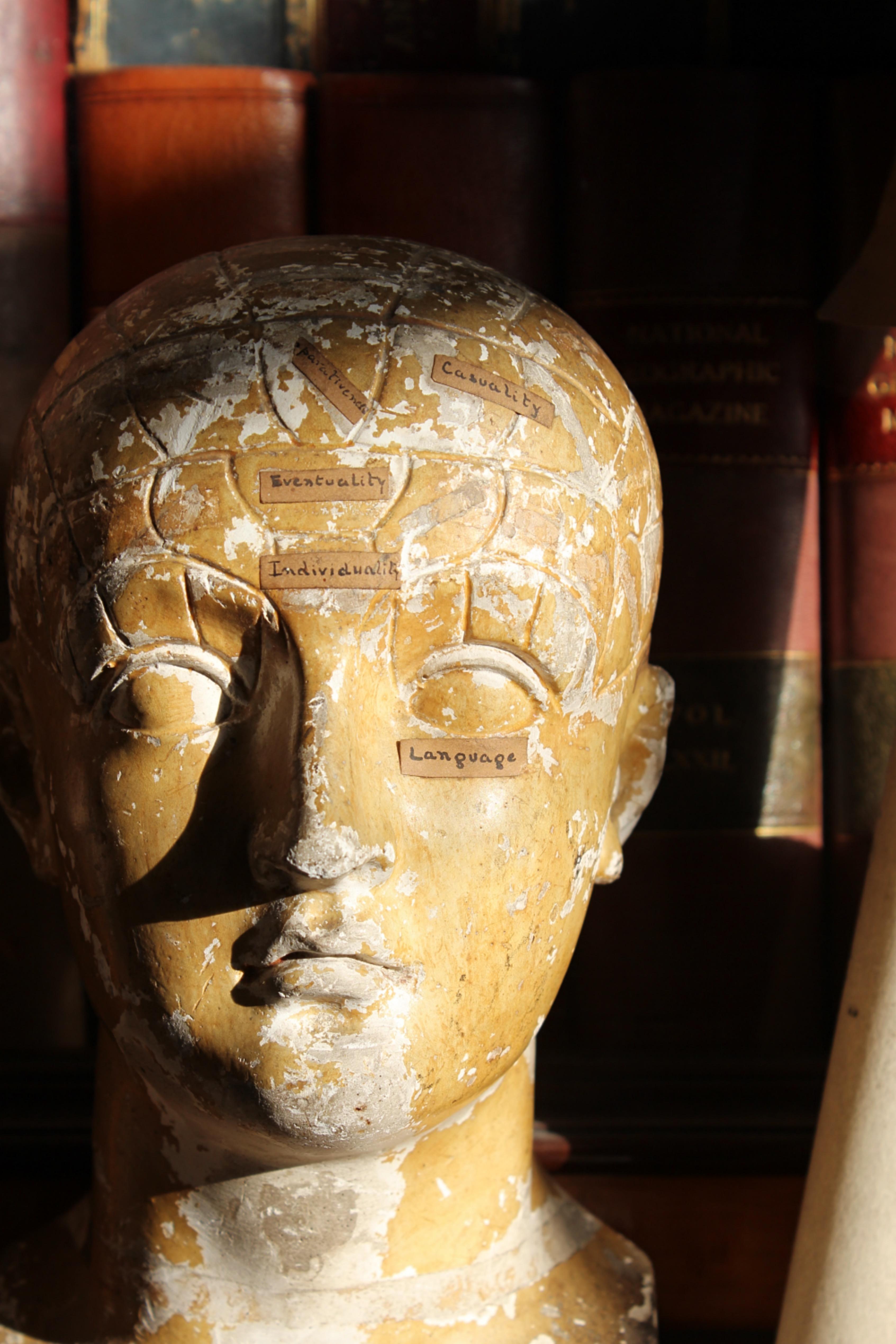 19th C Scientific James DeVille L N Fowler Phrenology Plaster Bust Head Curio  In Good Condition For Sale In Lowestoft, GB
