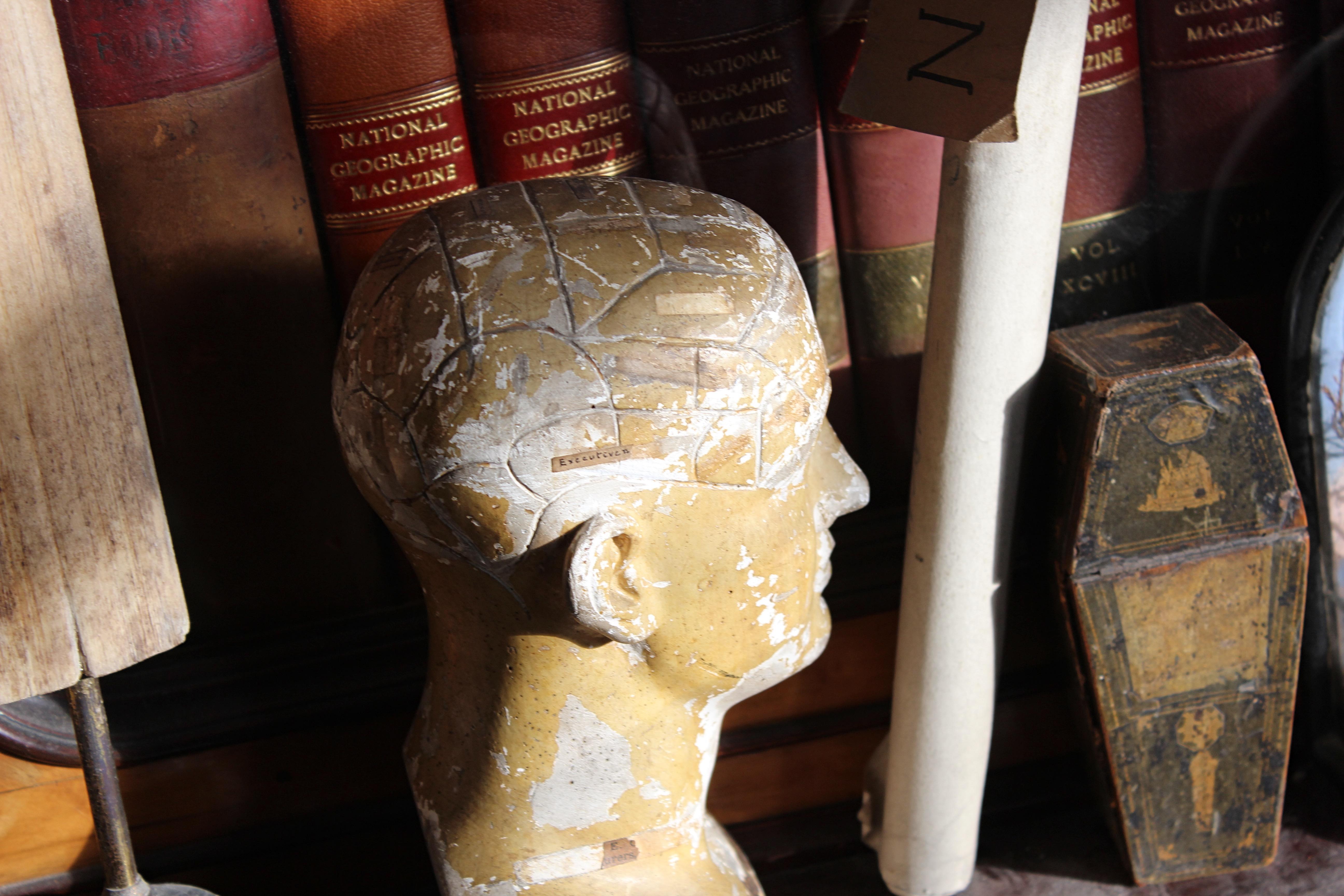 19th C Scientific James DeVille L N Fowler Phrenology Plaster Bust Head Curio  For Sale 1