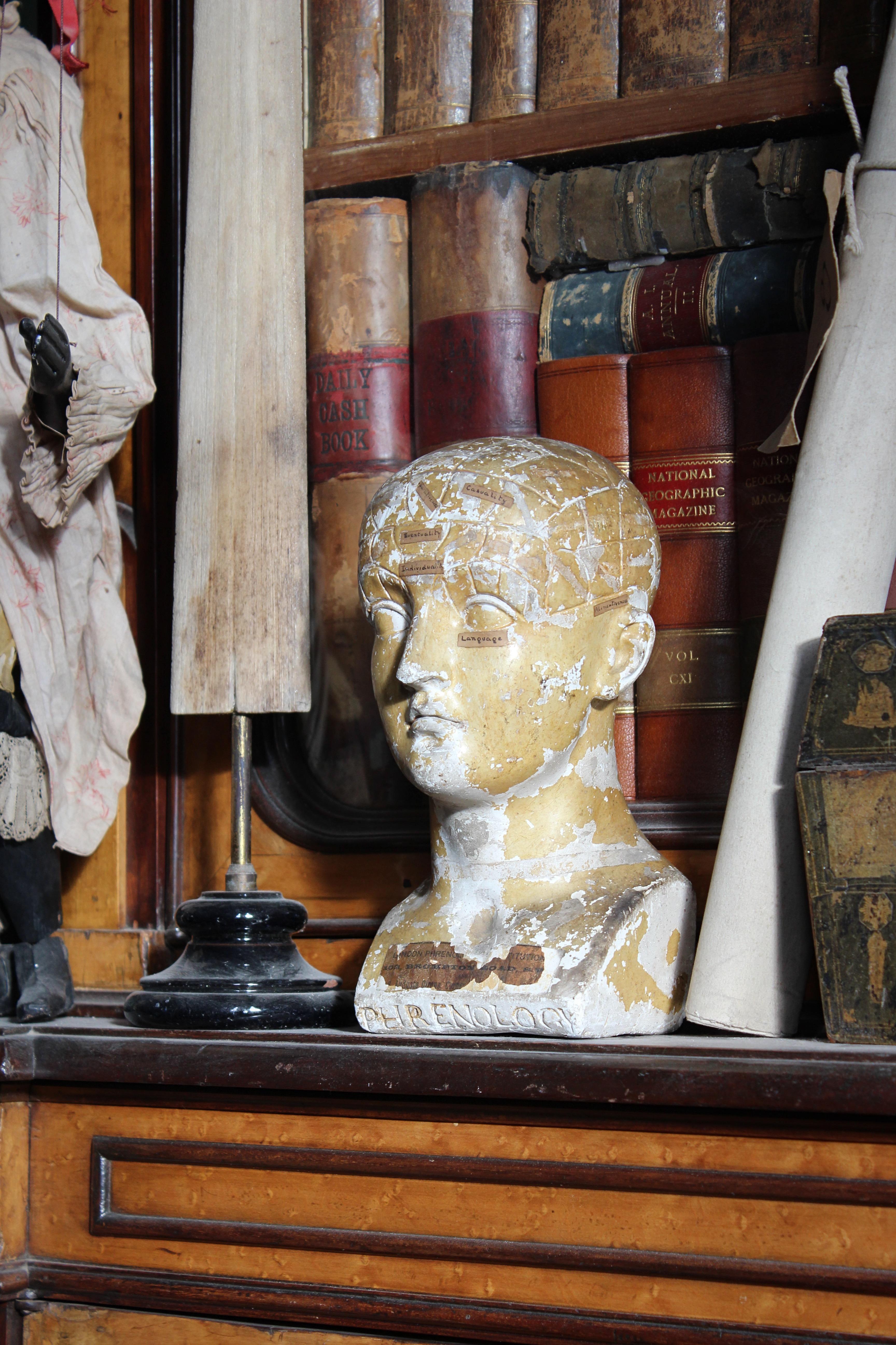19th C Scientific James DeVille L N Fowler Phrenology Plaster Bust Head Curio  In Good Condition For Sale In Lowestoft, GB
