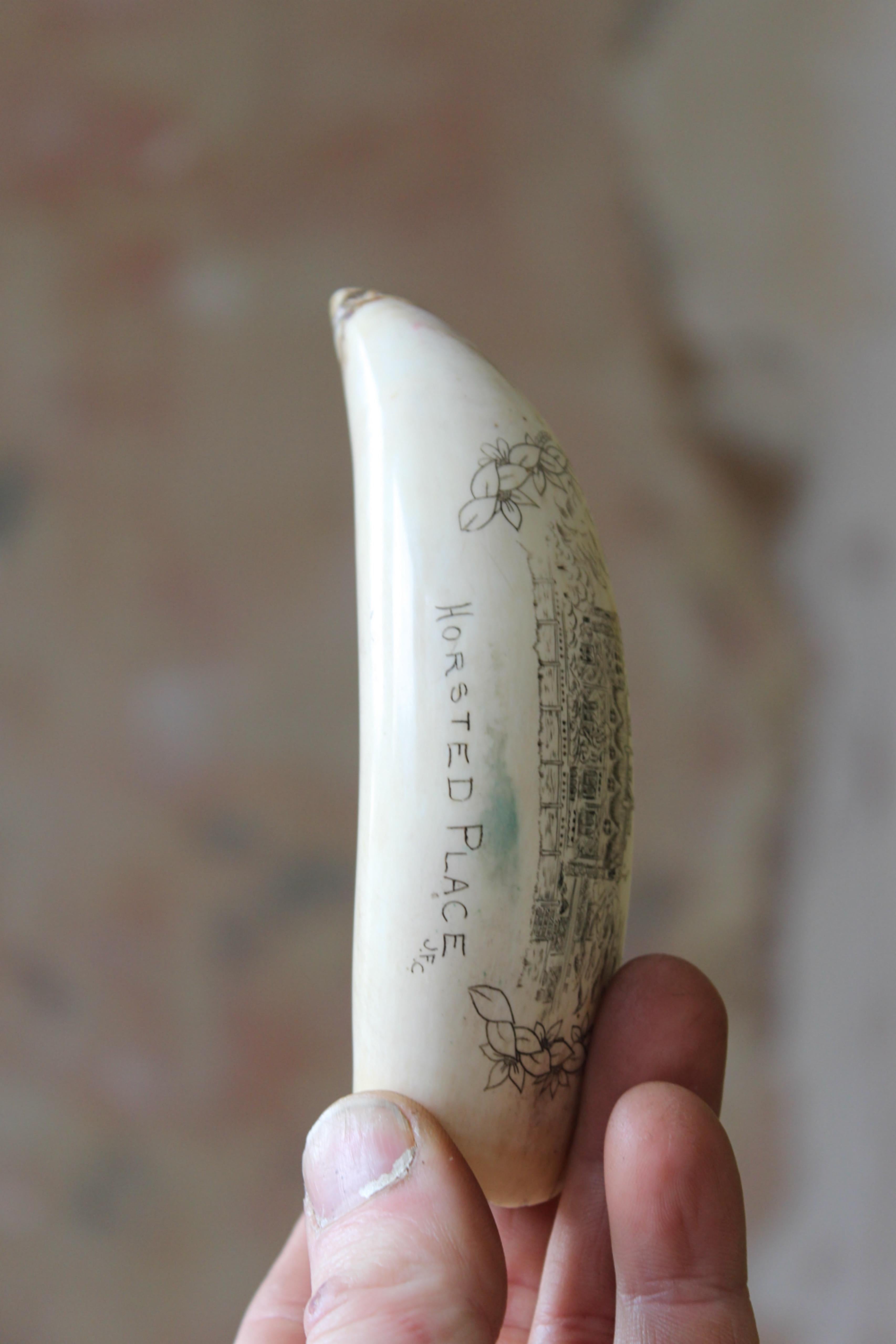 Scrimshaw Whales Tooth of Horsted Place East Sussex Hot Air Ballon & Schwein, 19. Jahrhundert 7