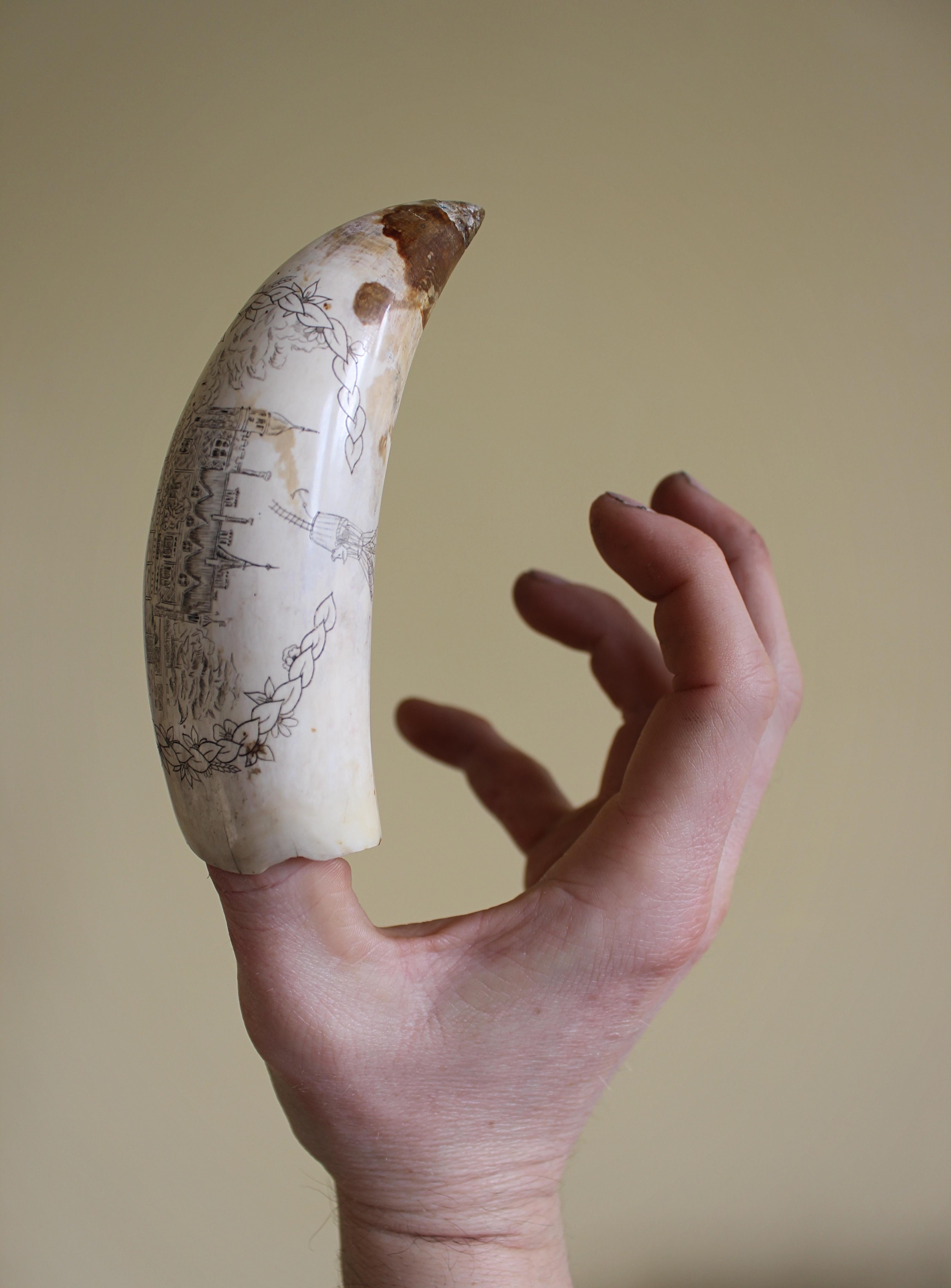 Ein viktorianischer Scrimshaw-Walzahn, circa/nach 1850. 

Detaillierte Gravurdekoration mit der Darstellung von 