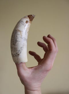 19th C Scrimshaw Whales Tooth of Horsted Place East Sussex Hot Air Ballon & Pig