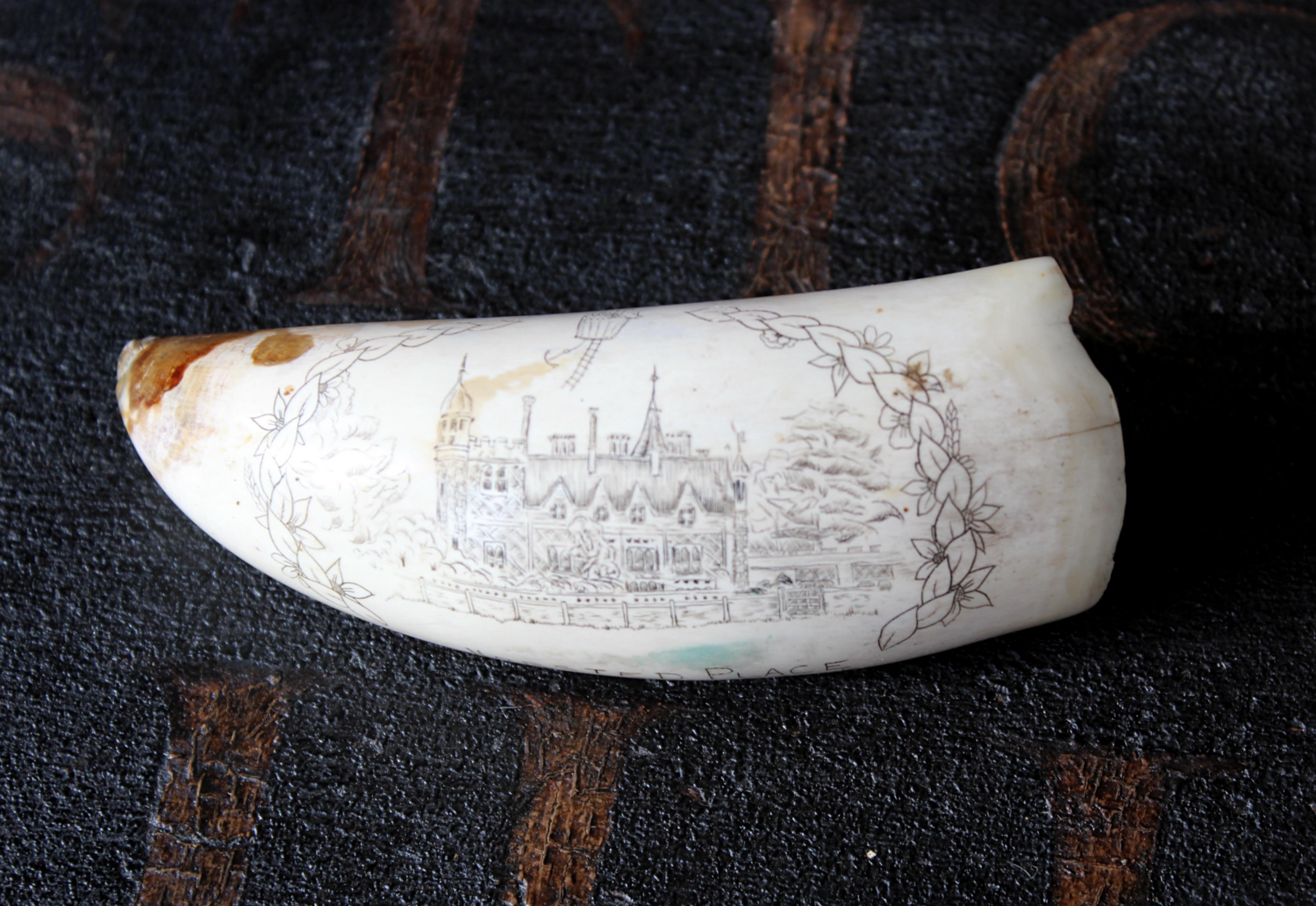 Scrimshaw Whales Tooth of Horsted Place East Sussex Hot Air Ballon & Schwein, 19. Jahrhundert (Englisch)