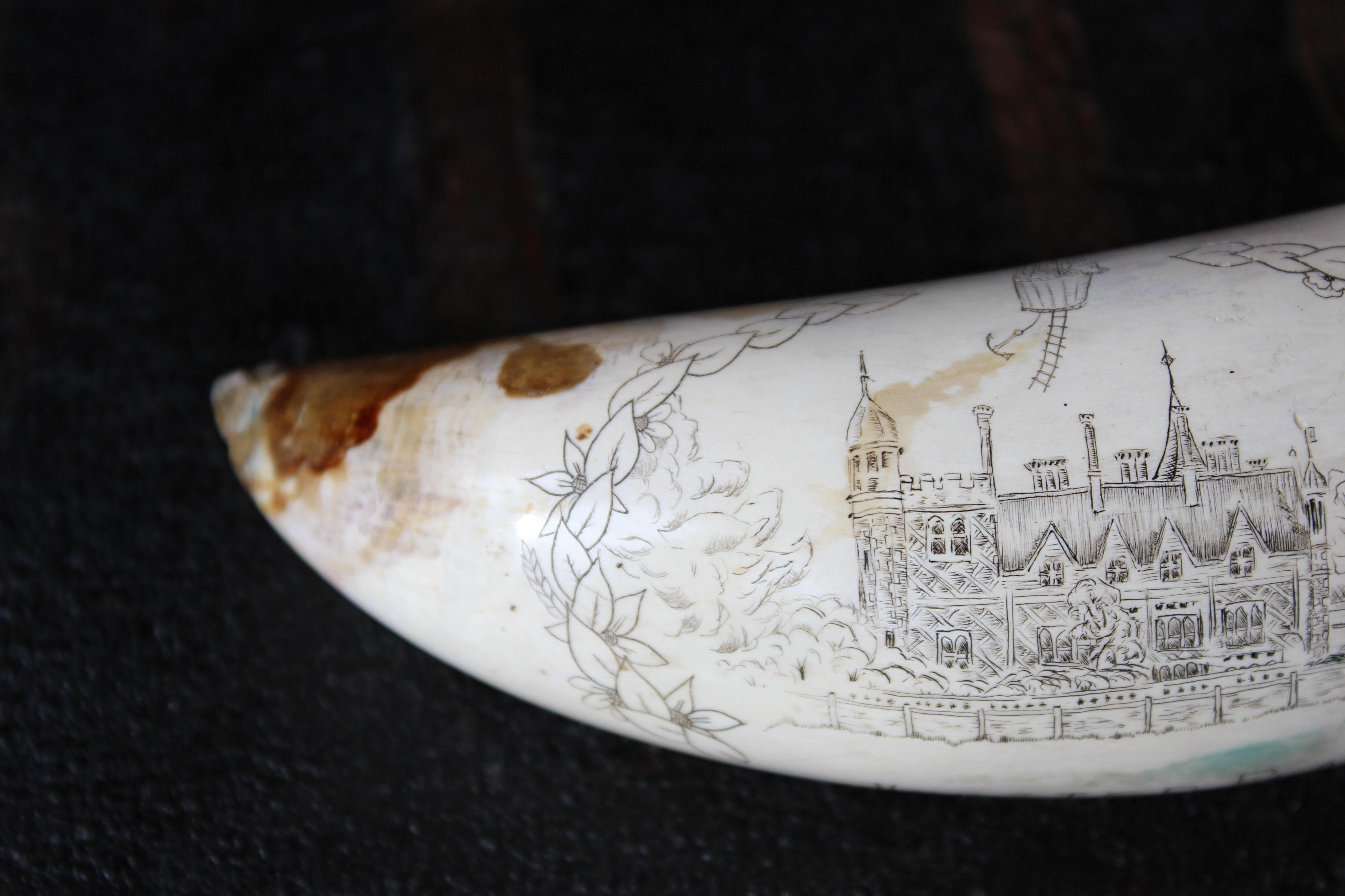 Scrimshaw Whales Tooth of Horsted Place East Sussex Hot Air Ballon & Schwein, 19. Jahrhundert (Handgeschnitzt)