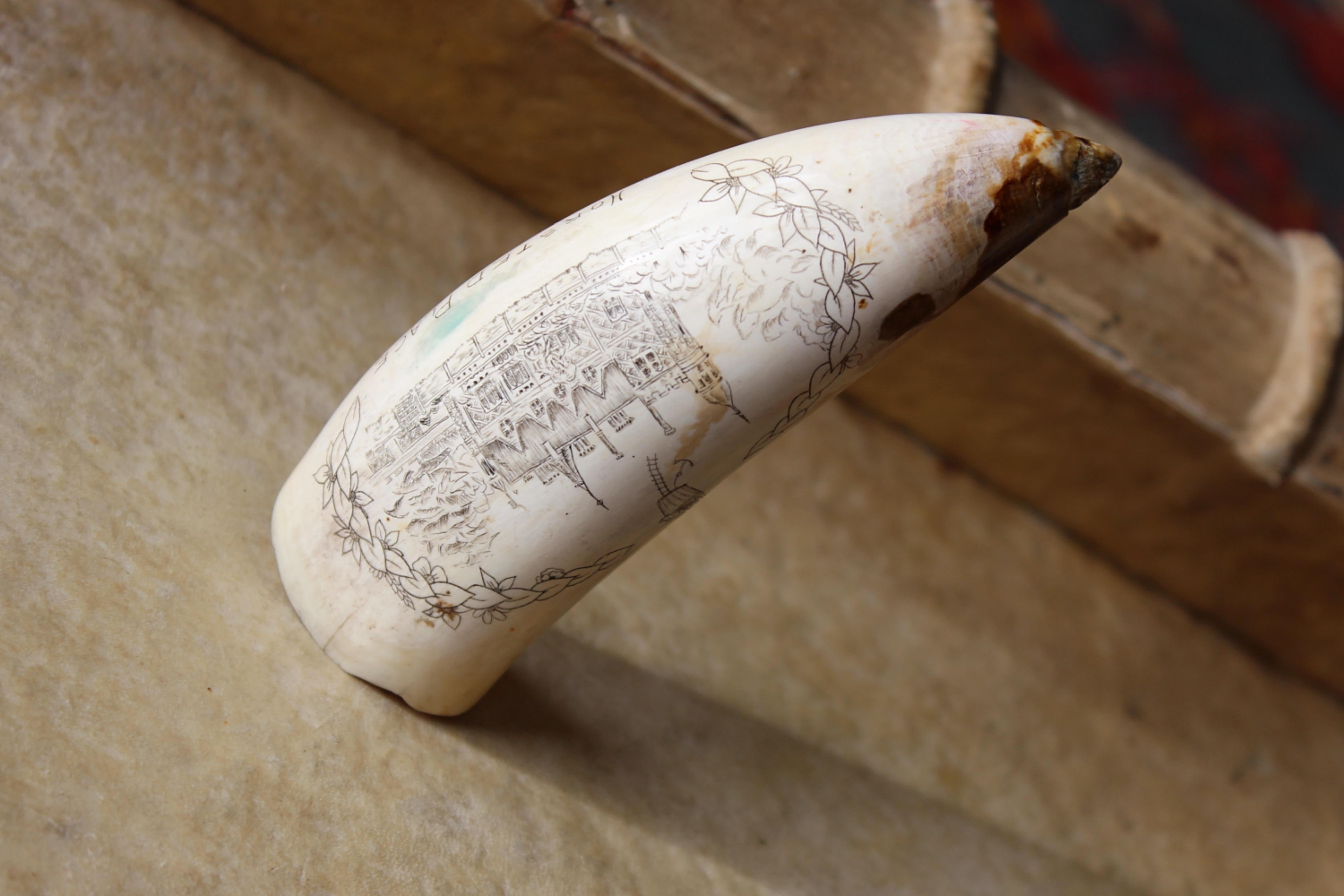 Scrimshaw Whales Tooth of Horsted Place East Sussex Hot Air Ballon & Schwein, 19. Jahrhundert 2