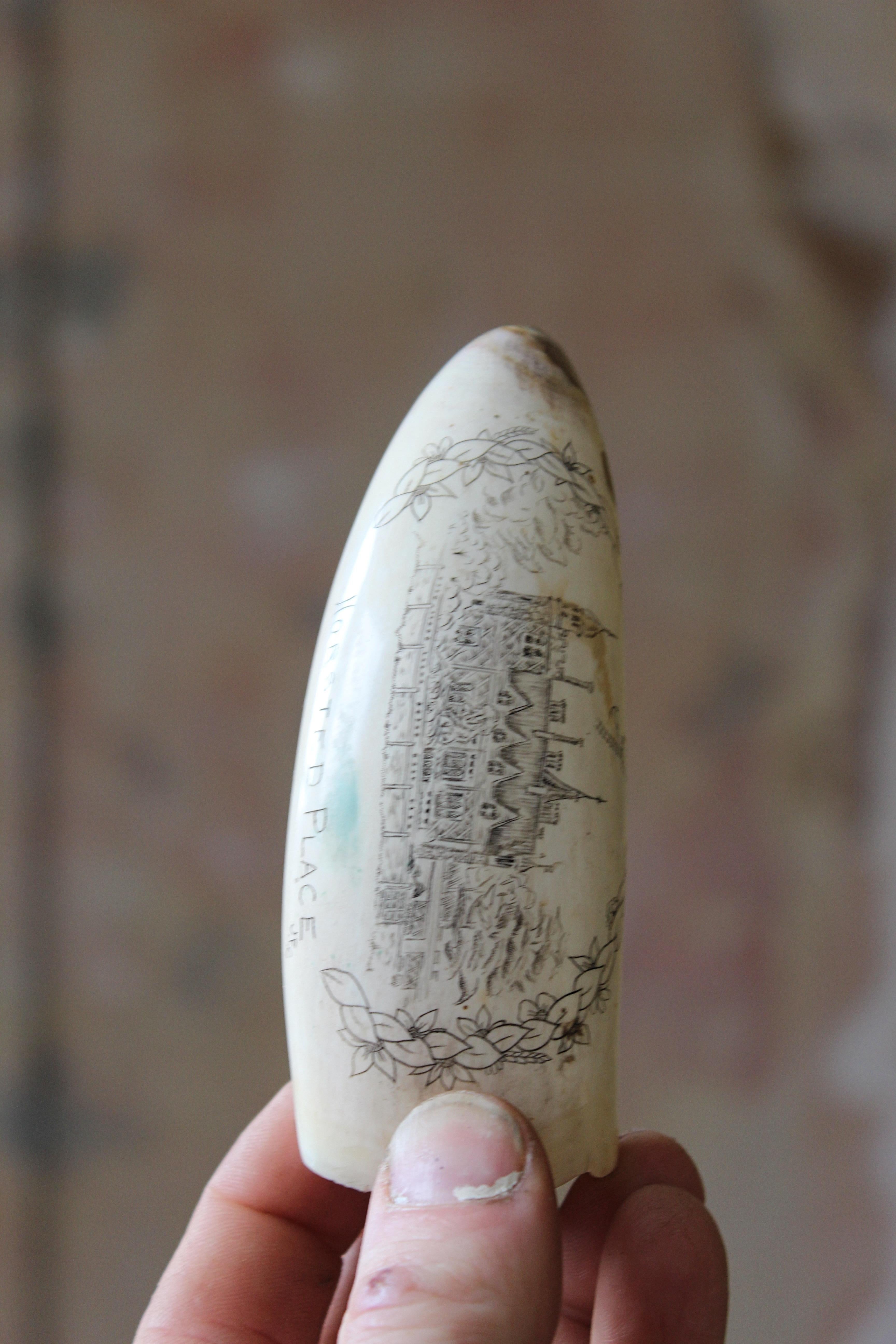 Scrimshaw Whales Tooth of Horsted Place East Sussex Hot Air Ballon & Schwein, 19. Jahrhundert 3