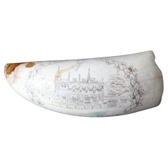 Scrimshaw Whales Tooth of Horsted Place East Sussex Hot Air Ballon & Schwein, 19. Jahrhundert