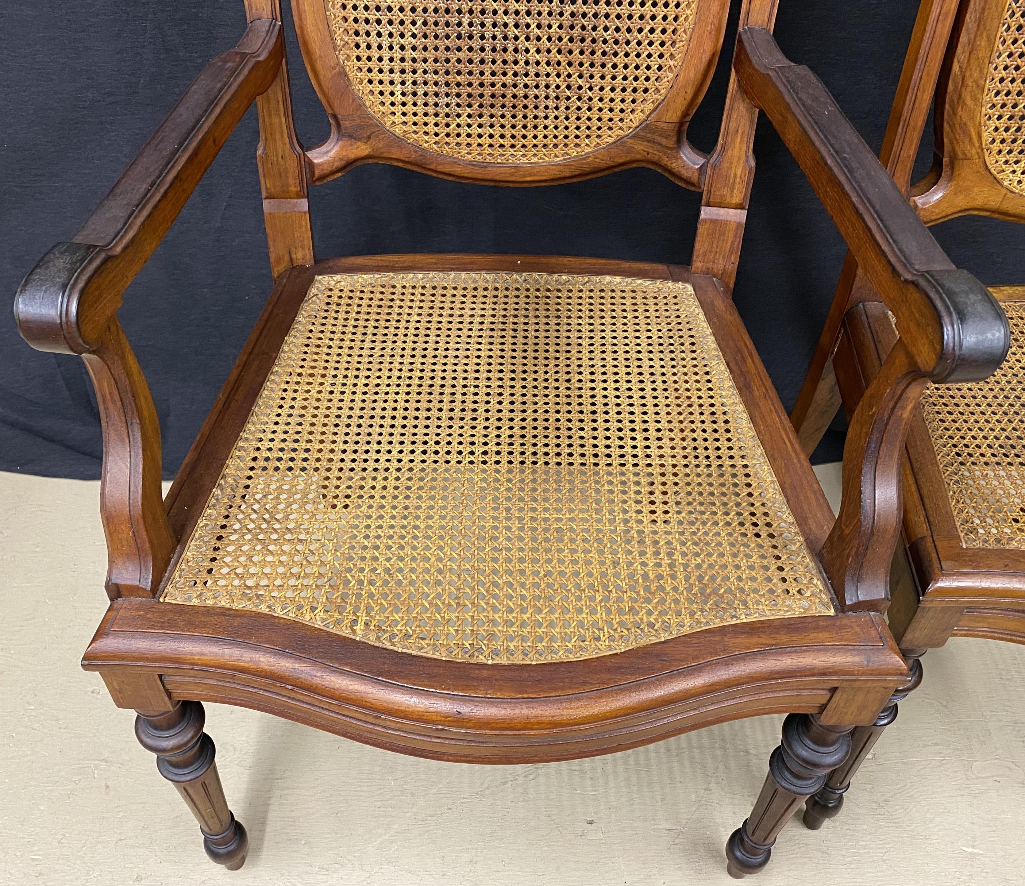 19th Century 19th c Set of Eight Brazilian Carved Jacaranda Caned Seat and Back Dining Chairs For Sale