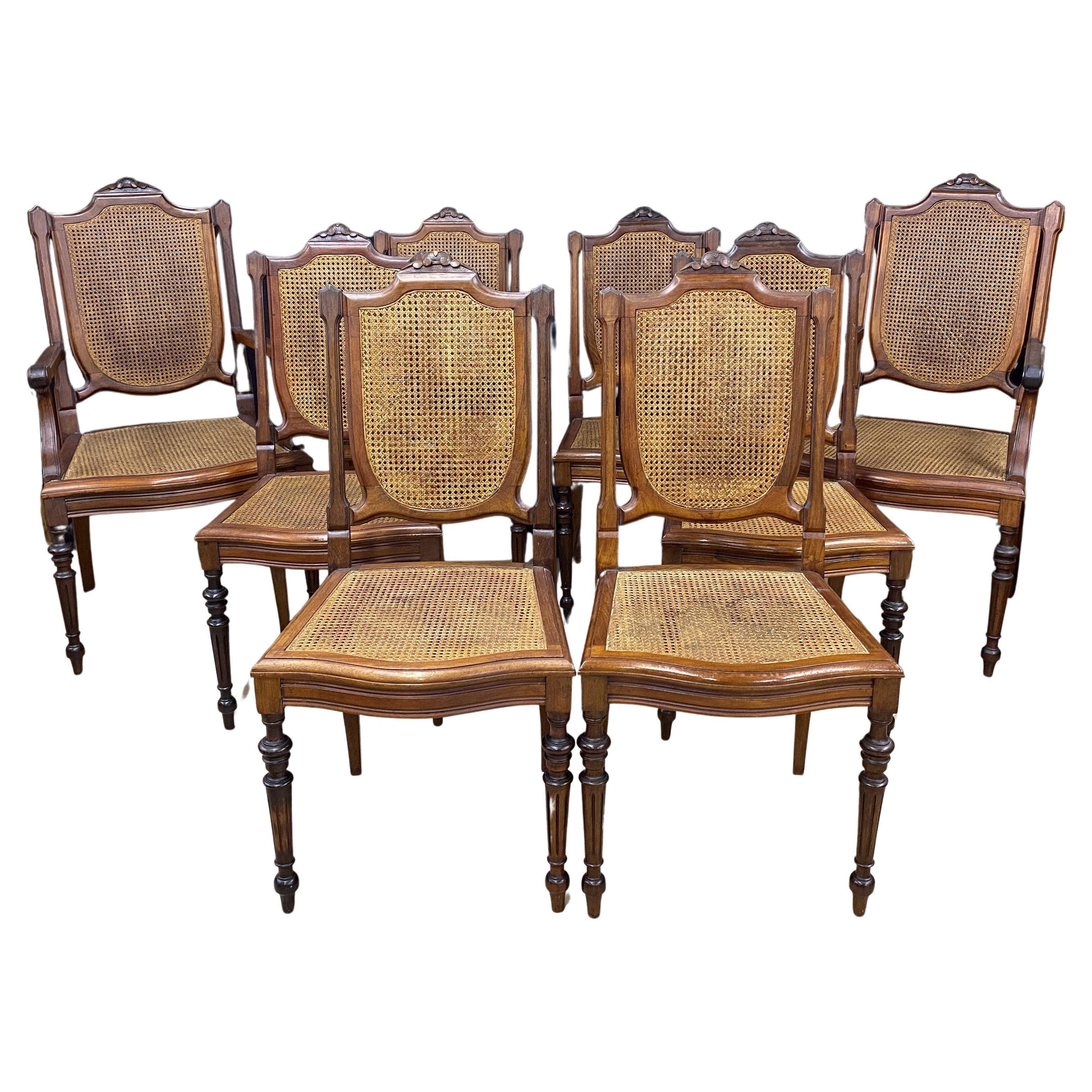 19th c Set of Eight Brazilian Carved Jacaranda Caned Seat and Back Dining Chairs For Sale