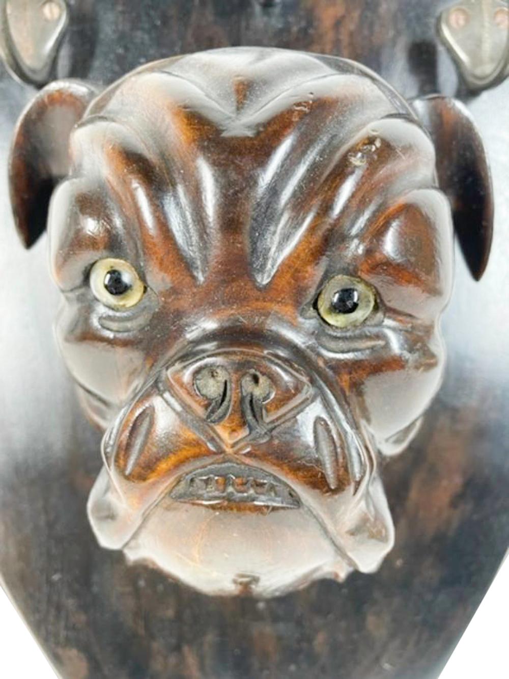Metal 19th C Shield-Backed Lead/Leash Holder, Carved Wood Bulldog Head with Glass Eyes For Sale
