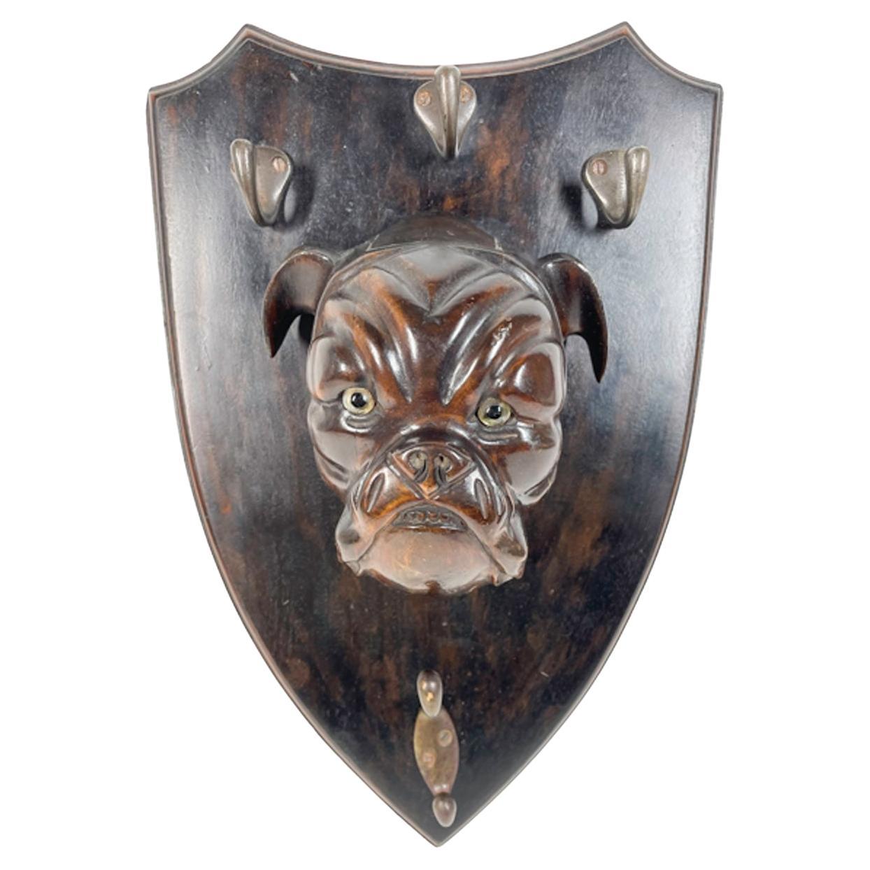 19th C Shield-Backed Lead/Leash Holder, Carved Wood Bulldog Head with Glass Eyes For Sale