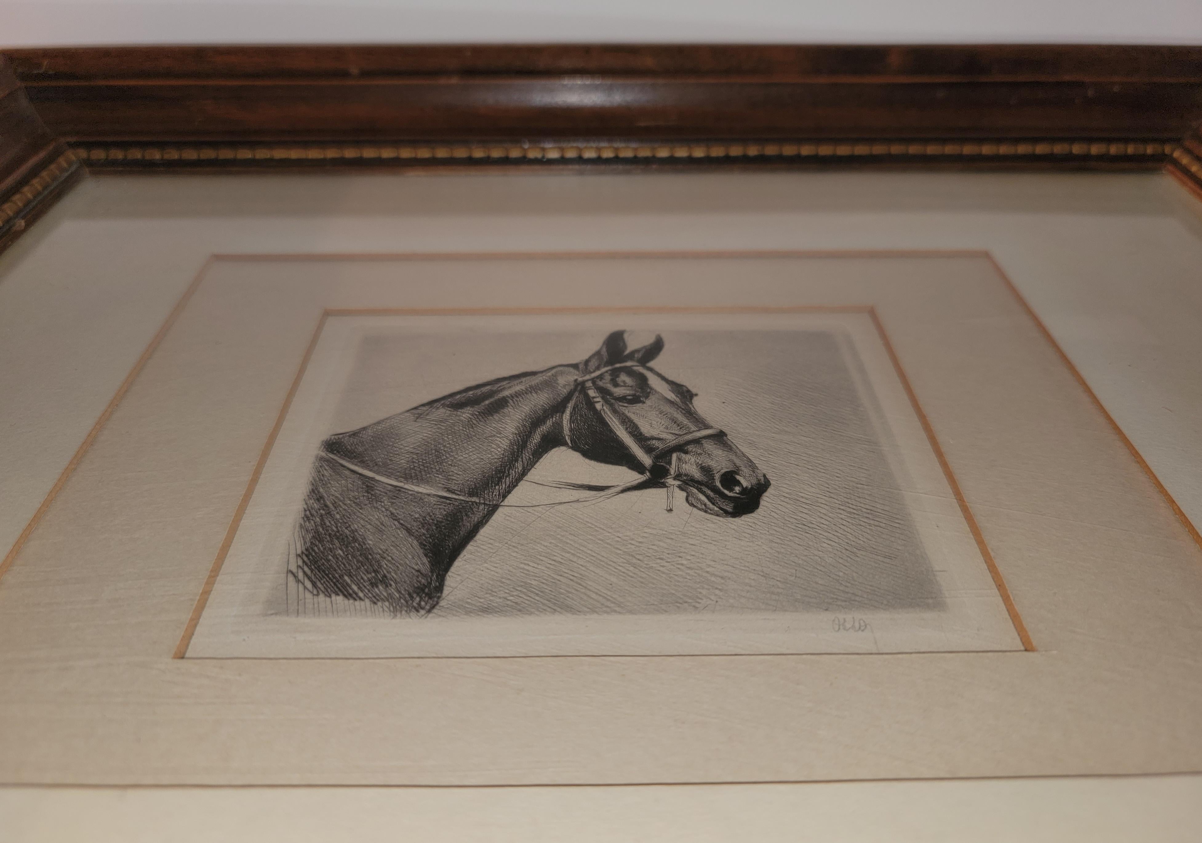 19th Century 19th C Signed Framed Horse Litho For Sale