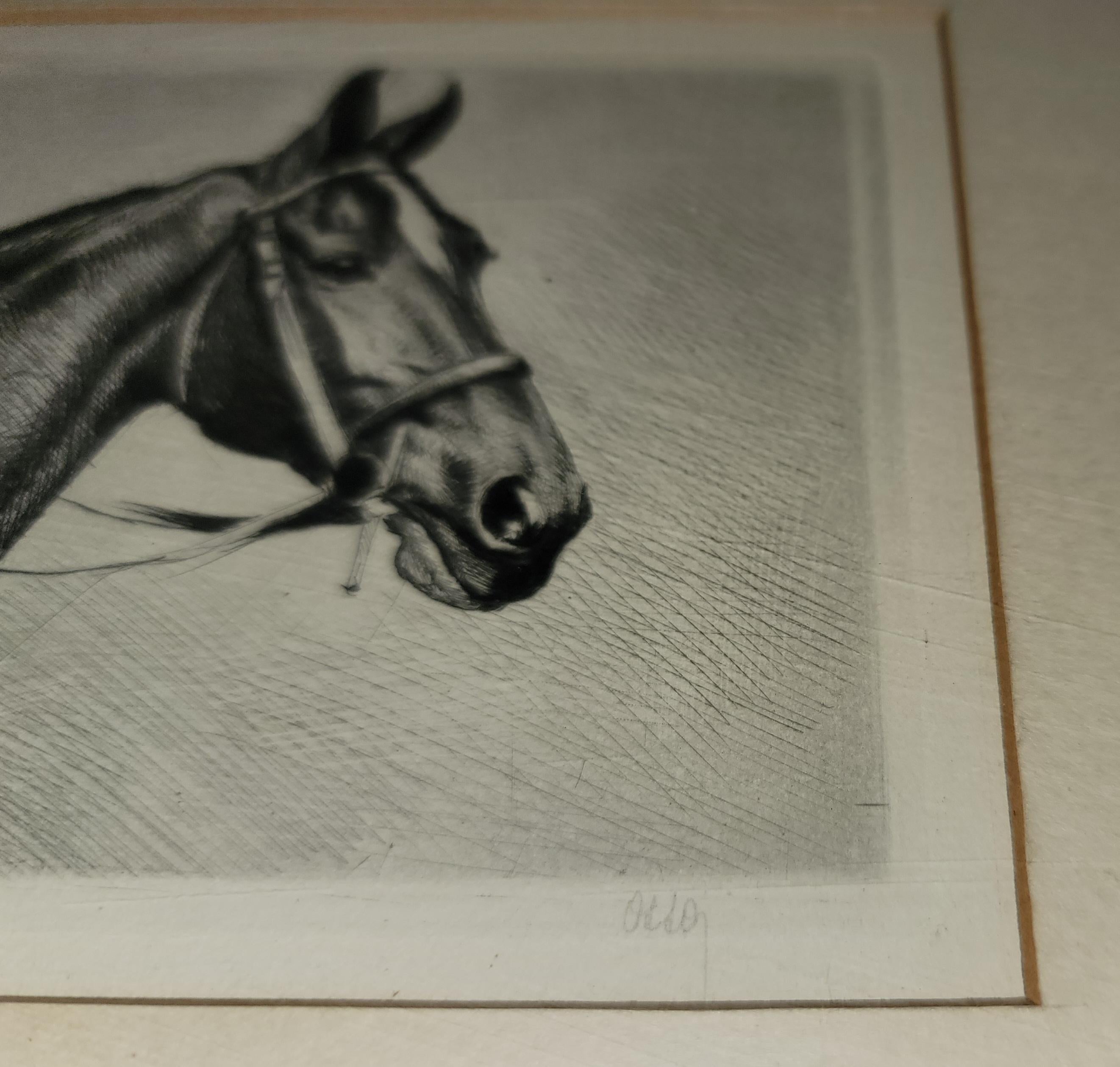 Paper 19th C Signed Framed Horse Litho For Sale