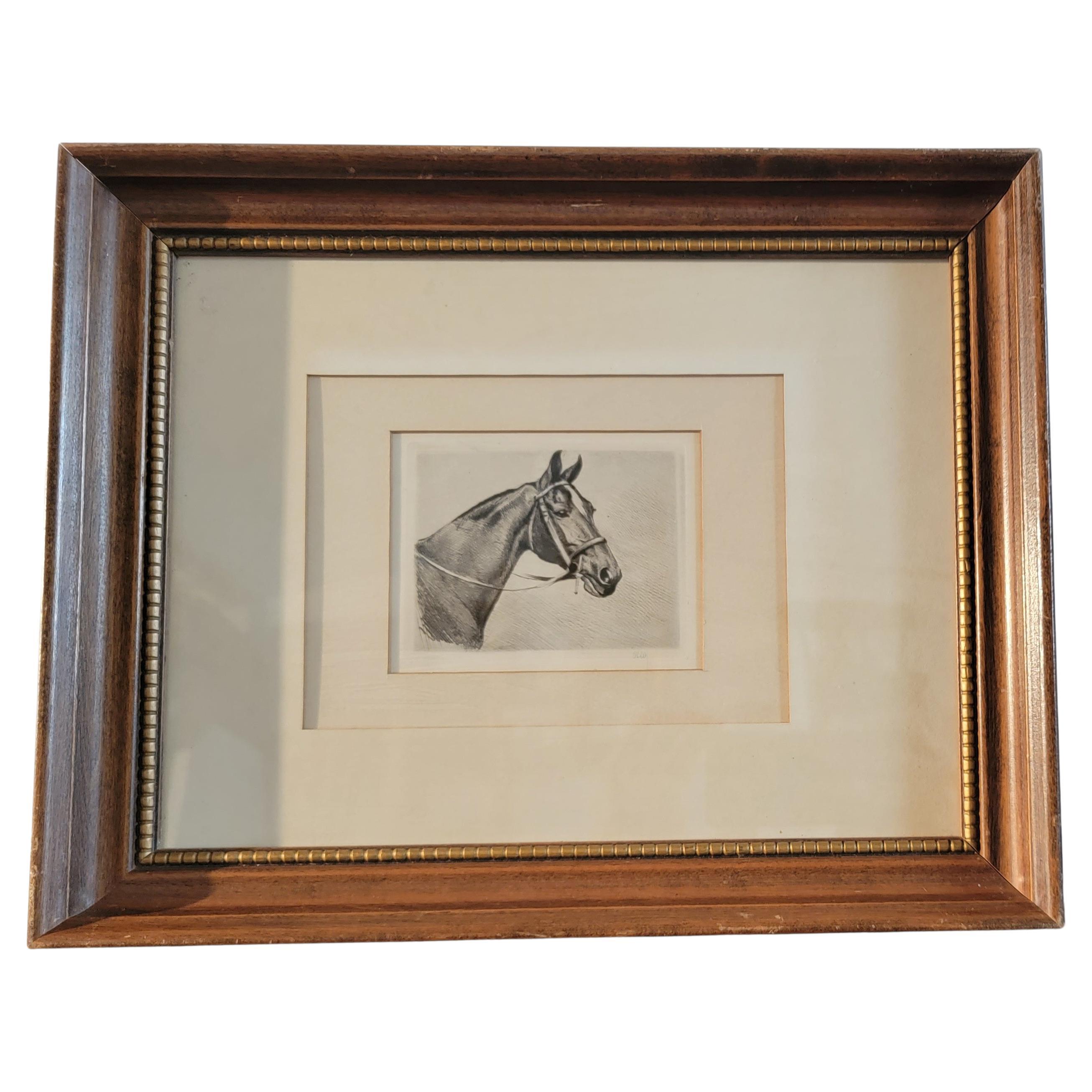 Lithographie de cheval encadrée signée du 19ème siècle