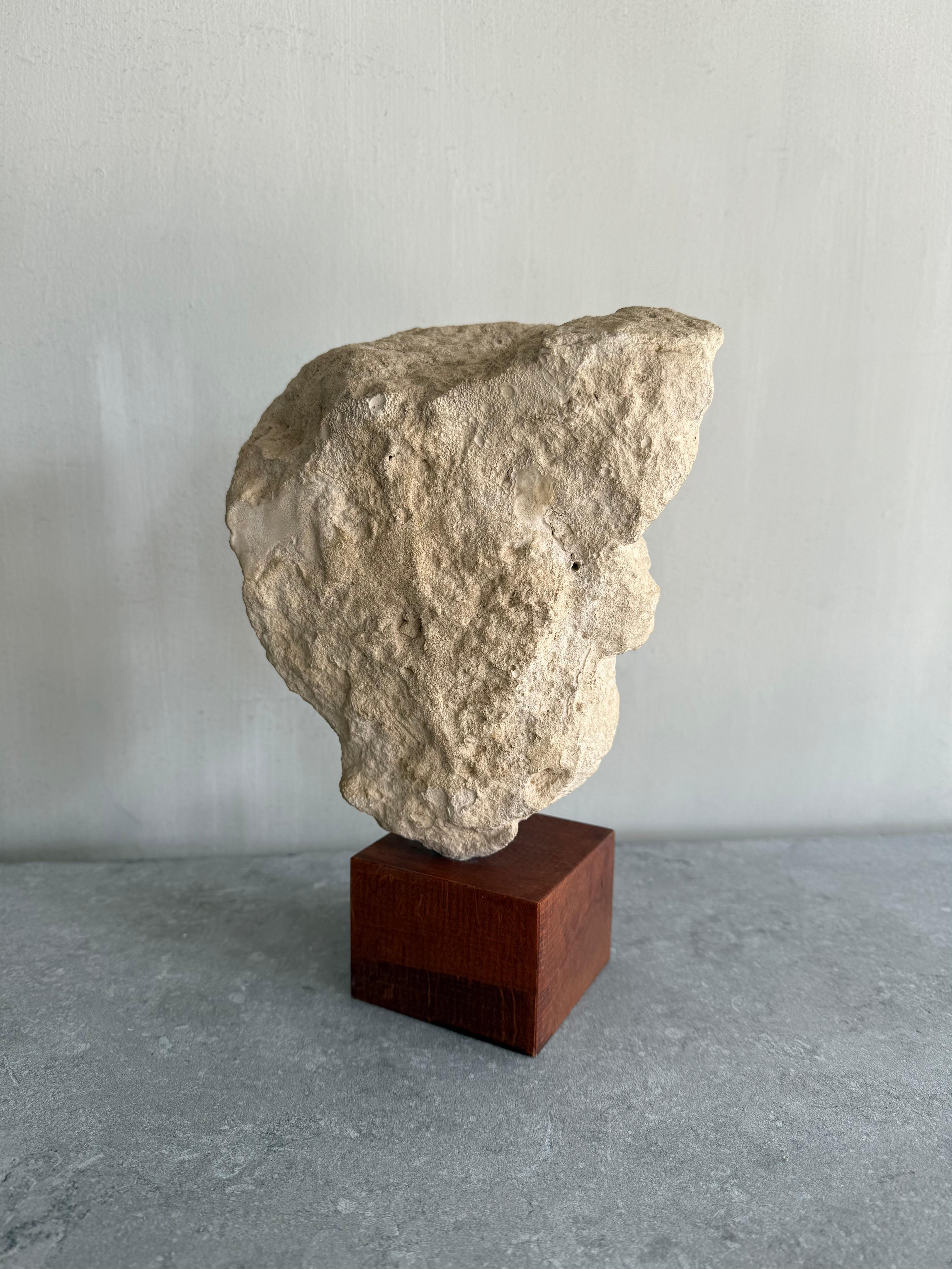 Testa di bambino scolpita in pietra del XIX secolo A.I.C. In condizioni buone in vendita a Nijlen, BE