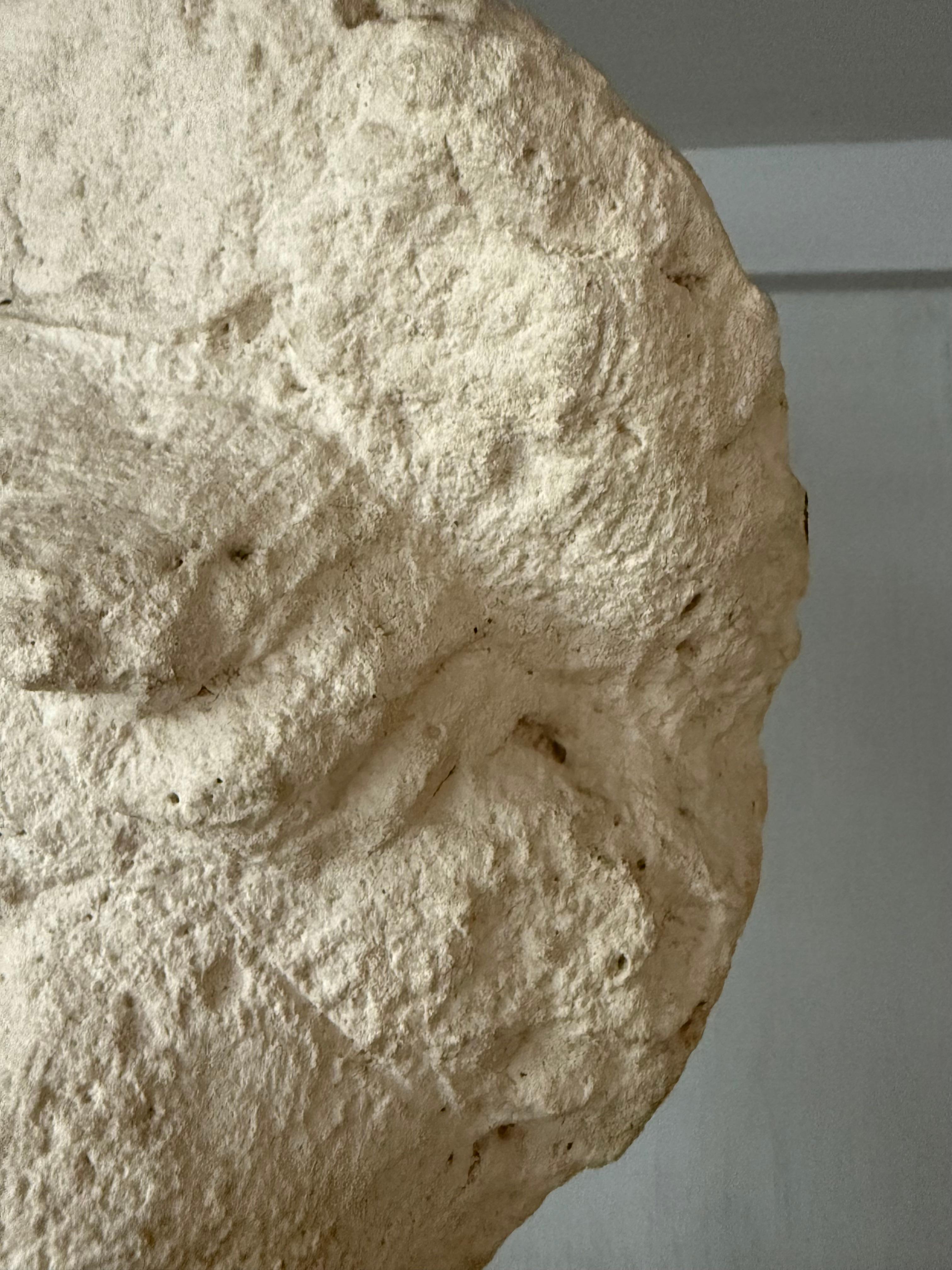 Testa di bambino scolpita in pietra del XIX secolo A.I.C. in vendita 3