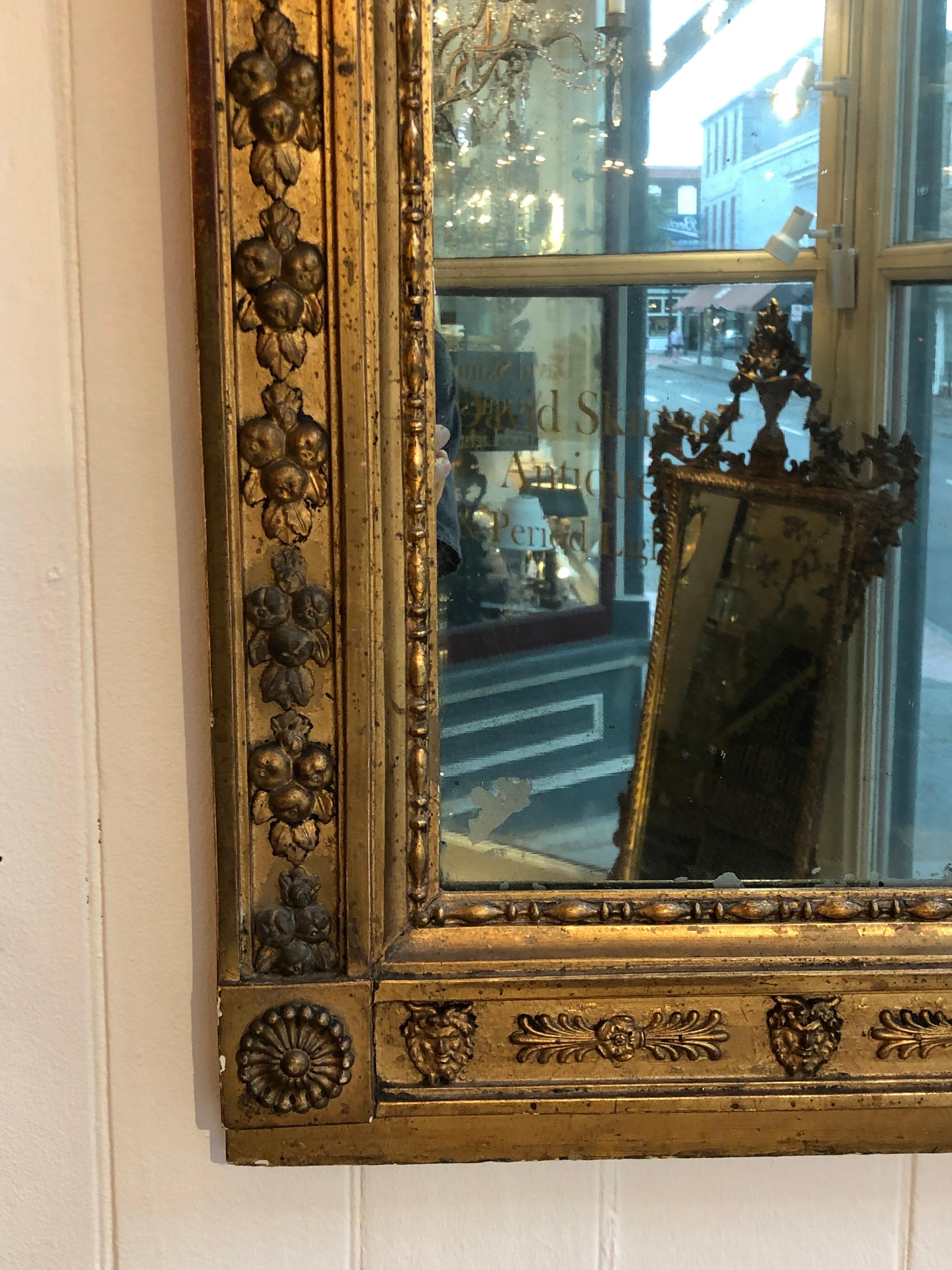 Empire 19th Century Sweden, Charles XIV, Anthemium Gilt Mirror
