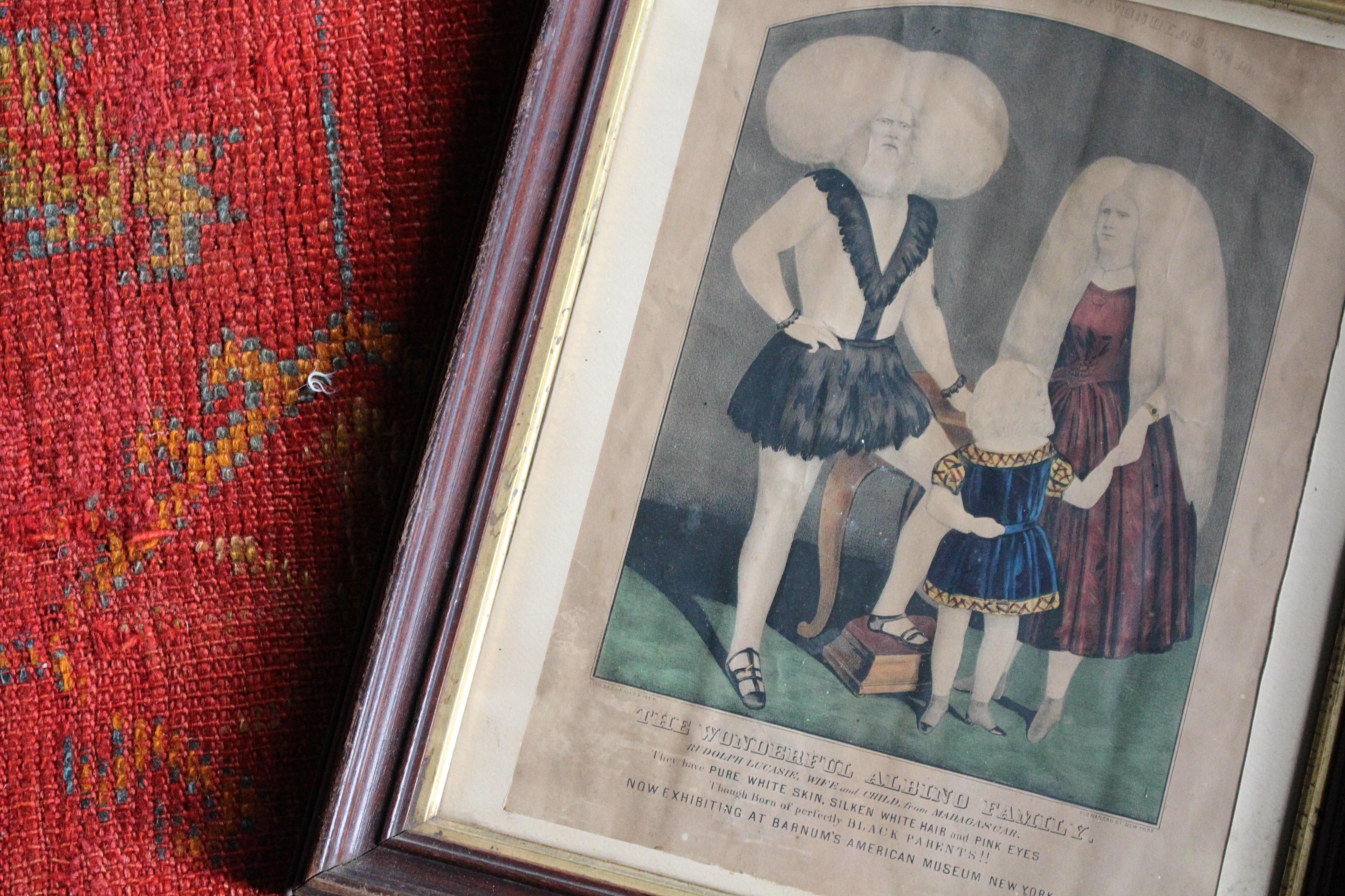 Le Albino Family Barums Museum New York Sideshow Fairground Circus du 19ème siècle en vente 1