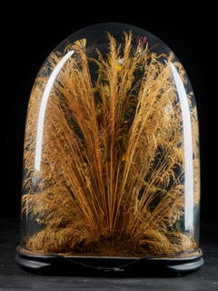 19th Century, United Kingdom, Victorian Dome Filled with 17 Exotic Birds