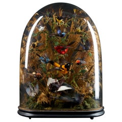 19th Century, United Kingdom, Victorian Dome Filled with 17 Exotic Birds