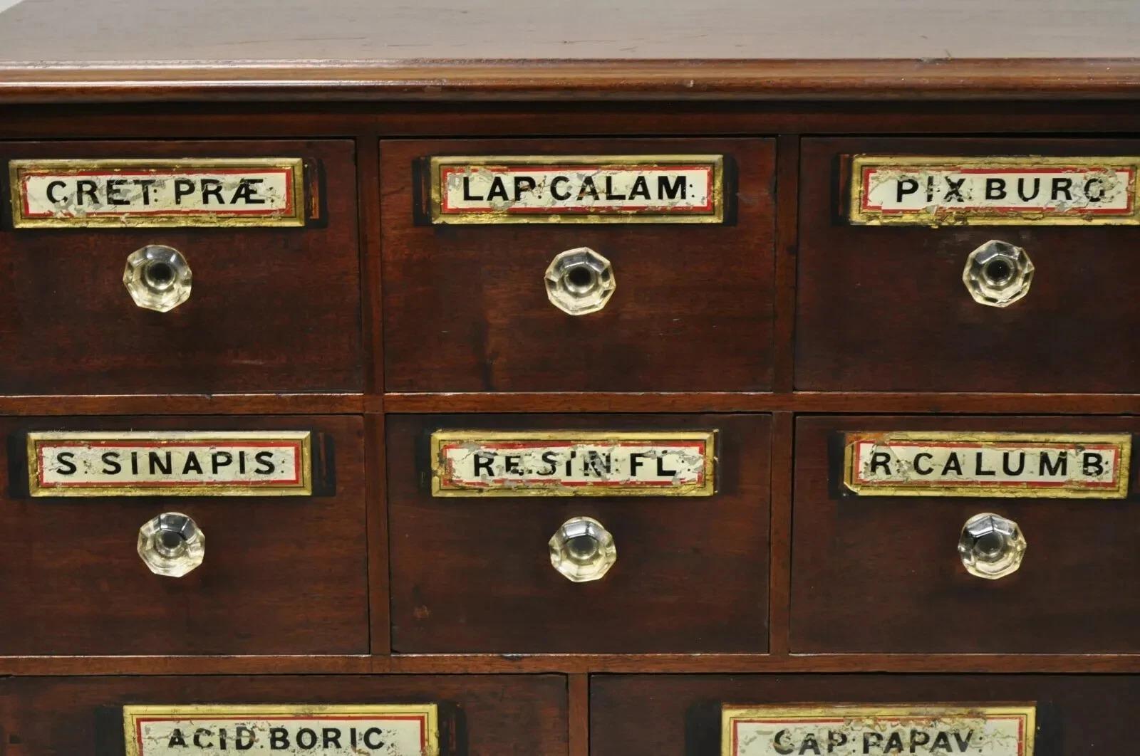 19th C. Victorian Mahogany Apothecary Medicine Cabinet w/ 10 Drawers Glass Pulls For Sale 6