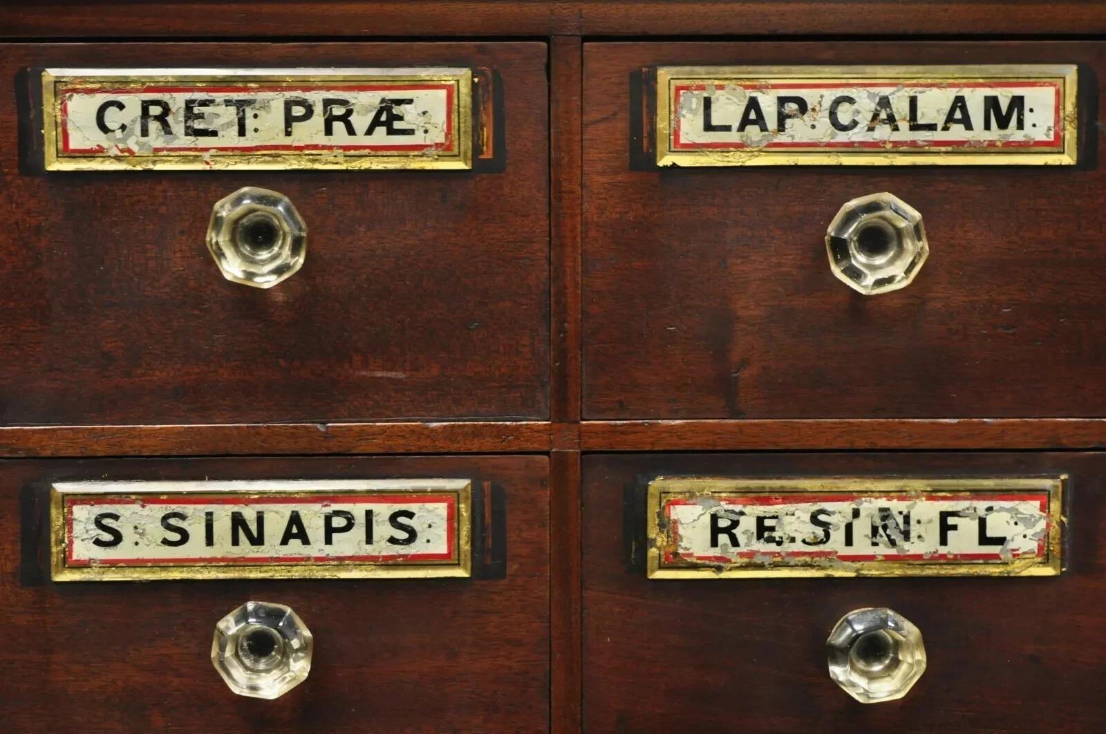 19th C. Victorian Mahogany Apothecary Medicine Cabinet w/ 10 Drawers Glass Pulls In Good Condition For Sale In Philadelphia, PA