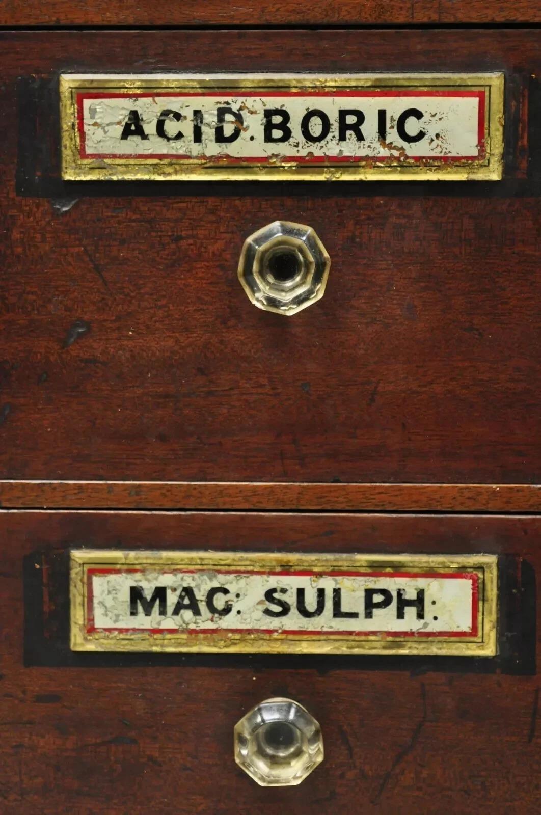 19th Century 19th C. Victorian Mahogany Apothecary Medicine Cabinet w/ 10 Drawers Glass Pulls For Sale