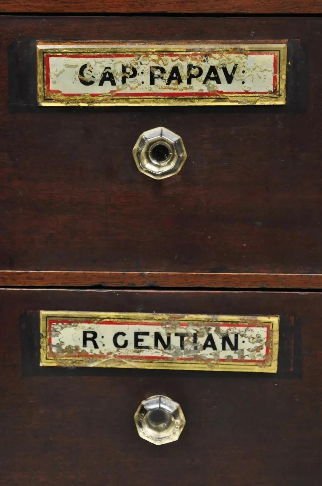 Wood 19th C. Victorian Mahogany Apothecary Medicine Cabinet w/ 10 Drawers Glass Pulls For Sale
