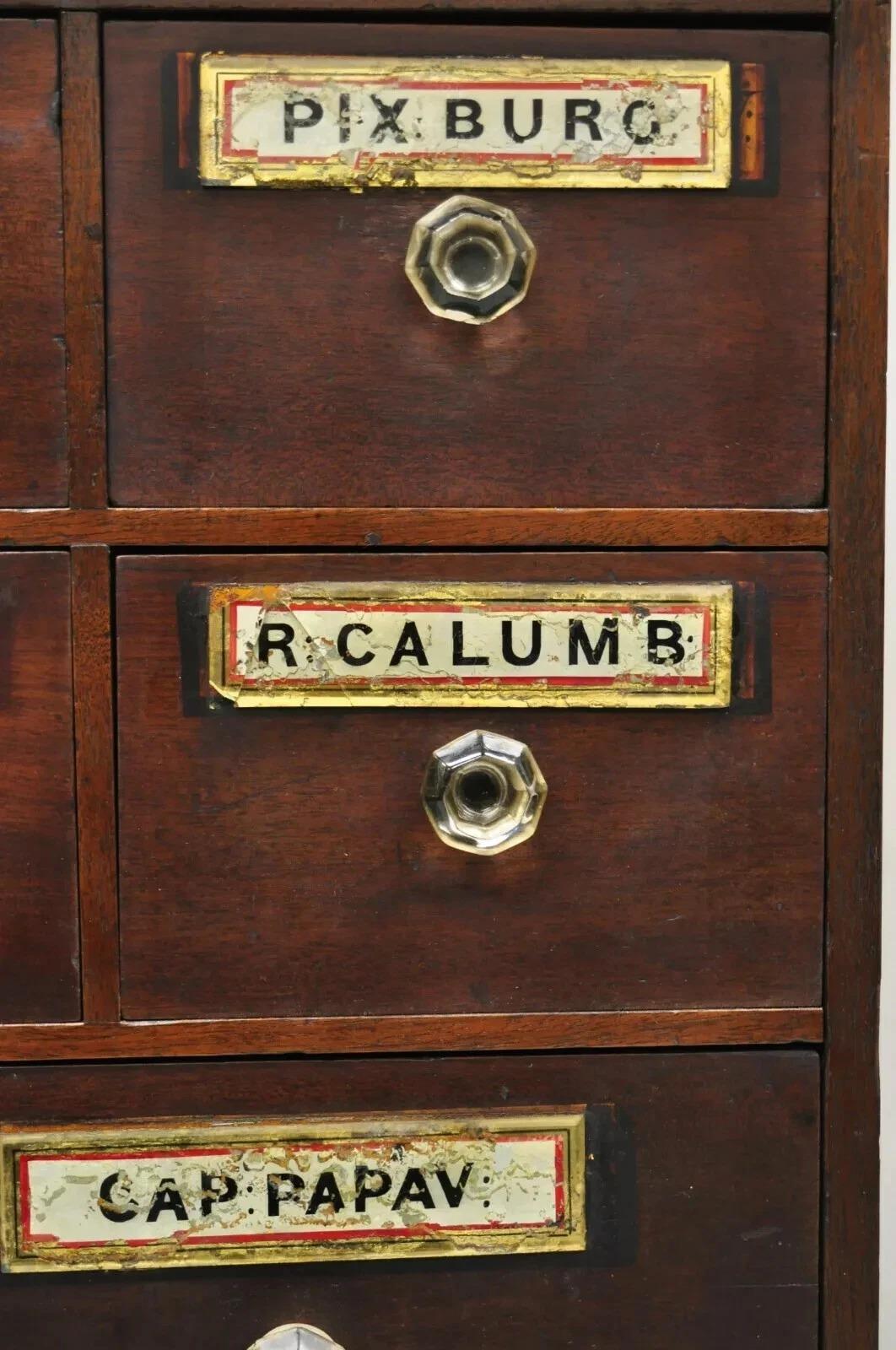 19th C. Victorian Mahogany Apothecary Medicine Cabinet w/ 10 Drawers Glass Pulls For Sale 1