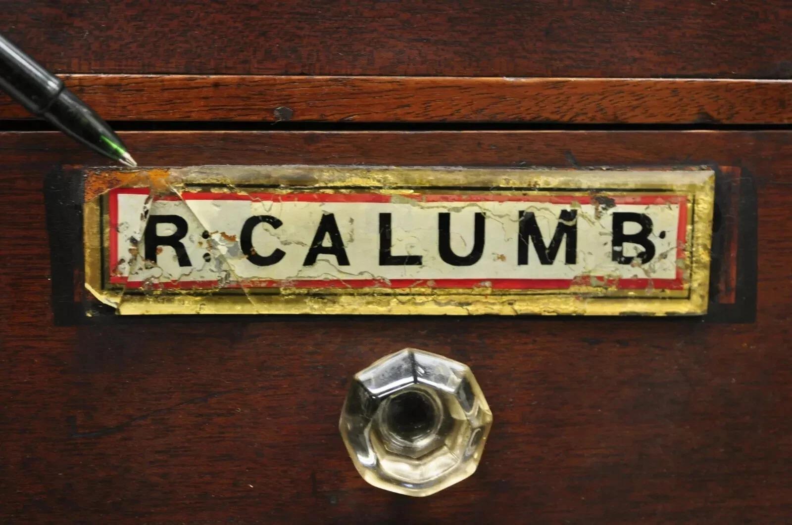 19th C. Victorian Mahogany Apothecary Medicine Cabinet w/ 10 Drawers Glass Pulls For Sale 2