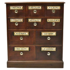 Antique 19th C. Victorian Mahogany Apothecary Medicine Cabinet w/ 10 Drawers Glass Pulls