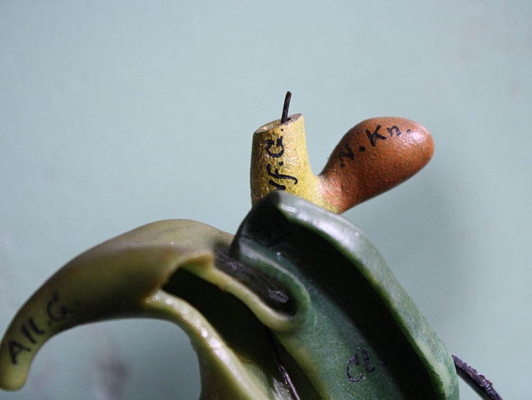 19th C Wax F.Ziegler Anatomical Models Studies Embryo Plant Scientific