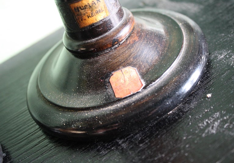 19th C Wax F.Ziegler Anatomical Models Studies Embryo Plant Scientific