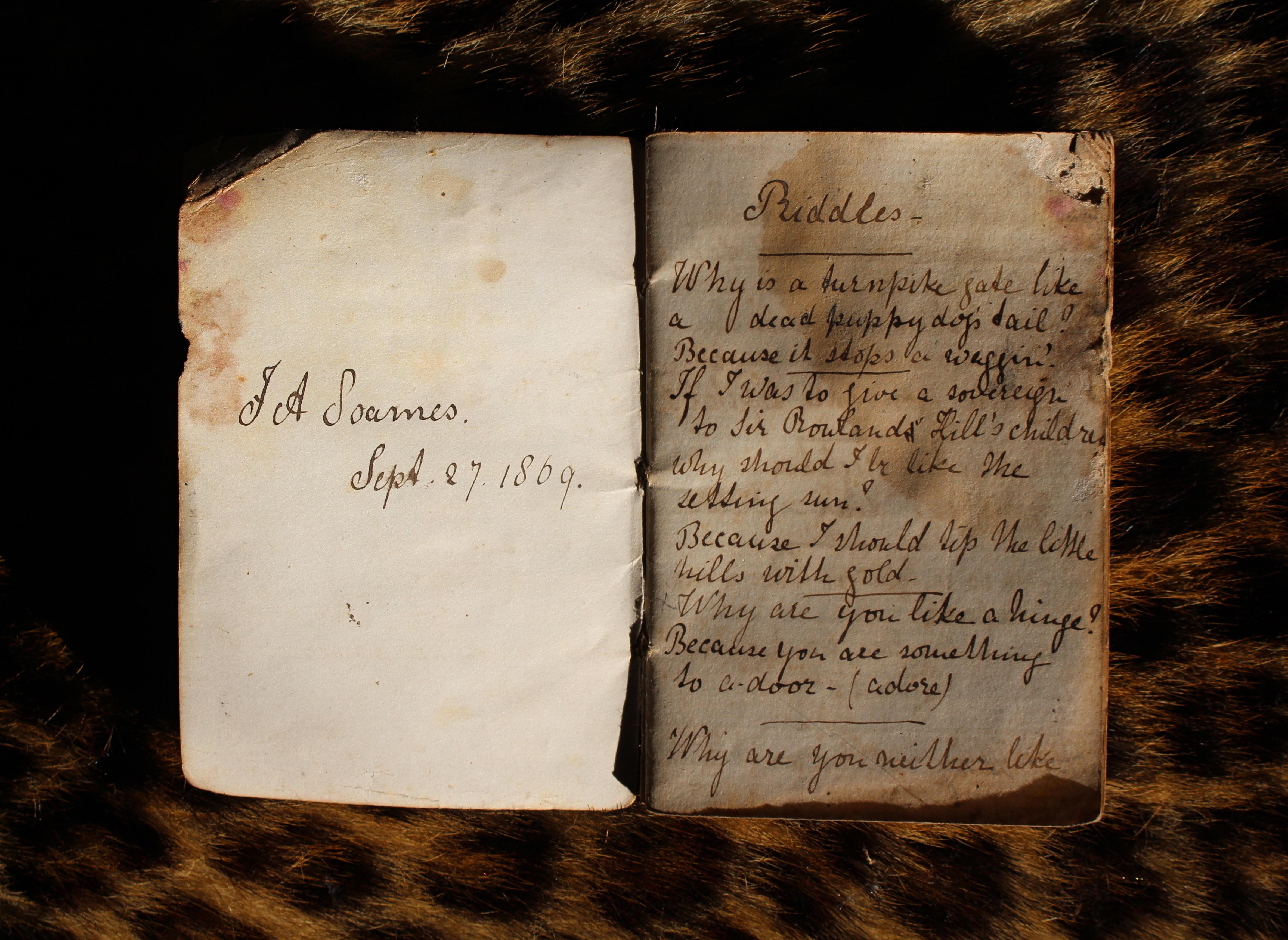 Anglais Livre de chevaux du 19e siècle, peint à la main, par J.A Soames 1869 en vente