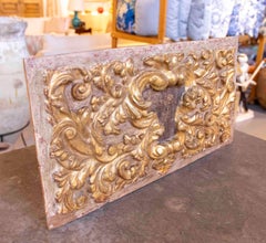 19th Carved and Polychrome Wooden Relief with Vegetal Motifs and Border