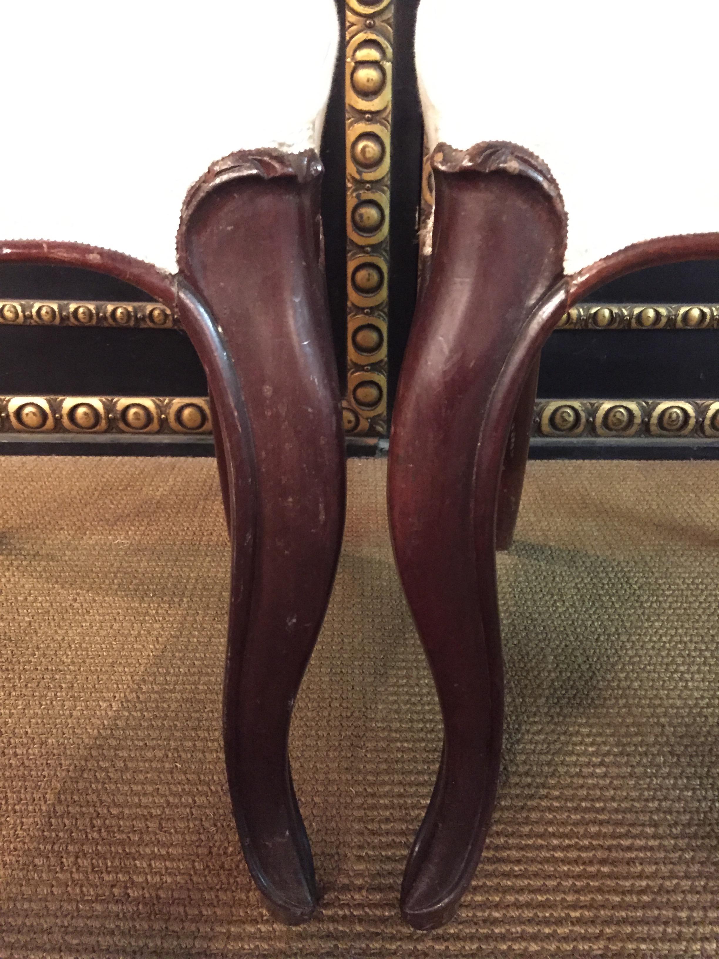 19th Century 4 Biedermeier Medallion Chairs, circa 1830 3