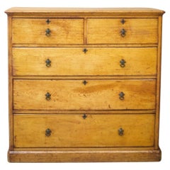 Antique 19th Century Aesthetic Movement Chest of Drawers