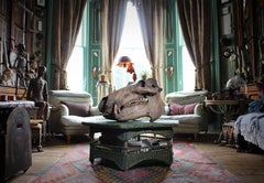 19th Century African Hippopotamus Skull