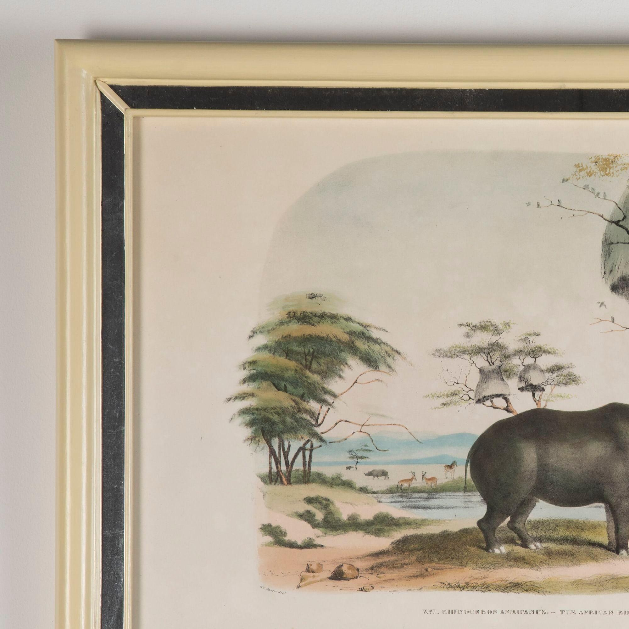 19th Century African Wildlife Lithographs In Good Condition In Gloucestershire, GB