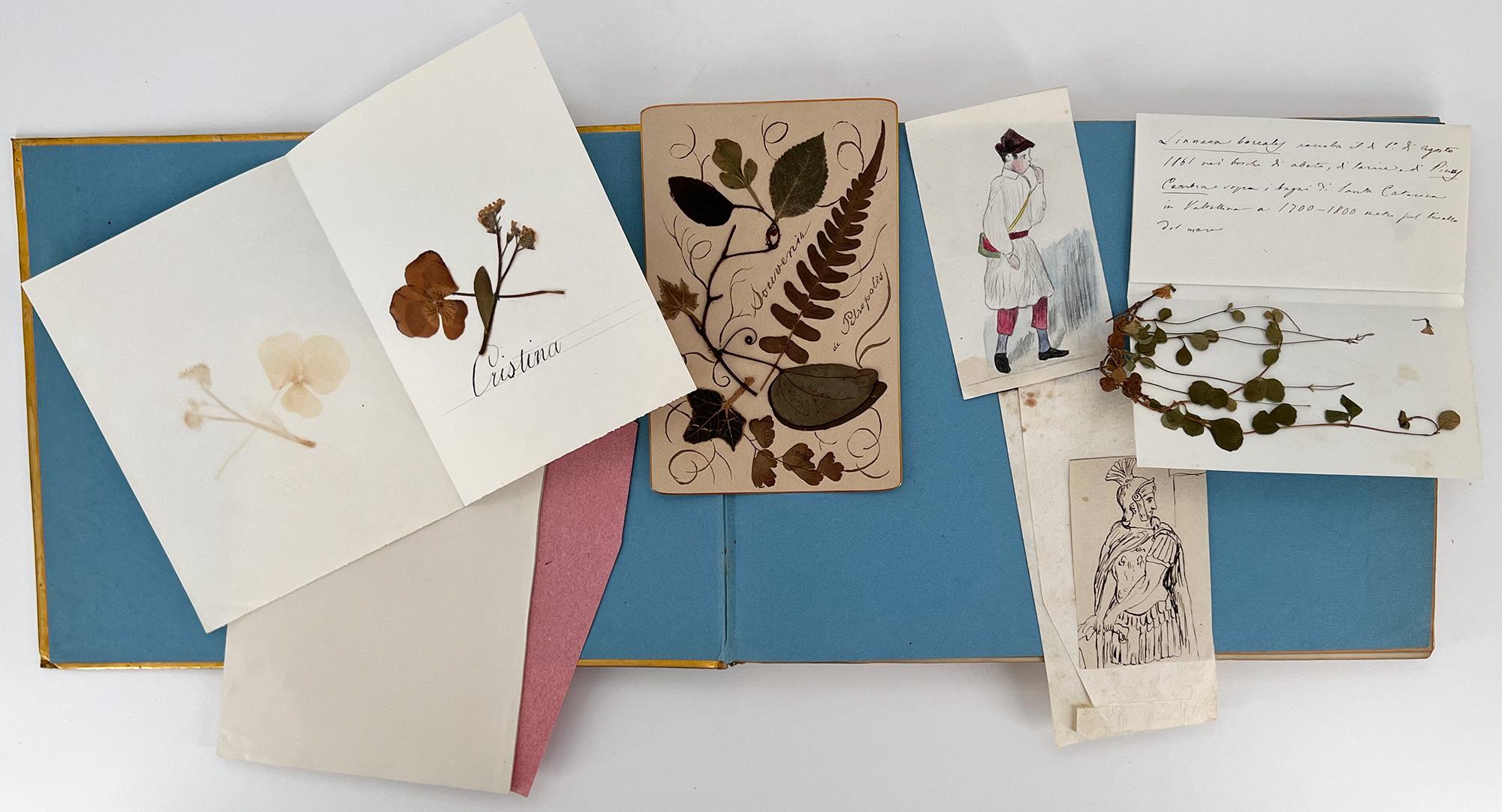 18th Century 19th Century Album Containing Drawings, Memorabilia, and Botanical Samples For Sale