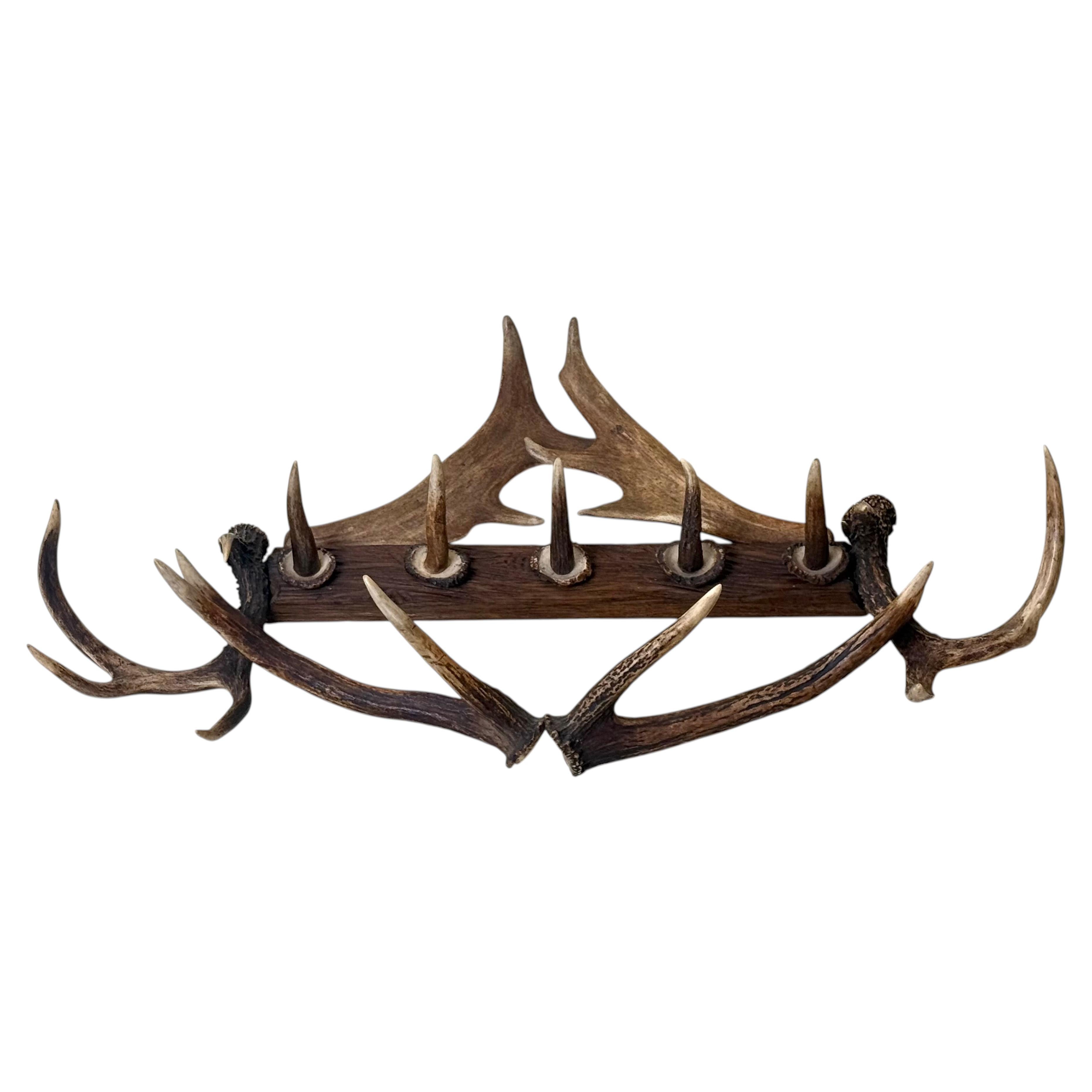 Porte-manteaux mural sculpté en bois de cerf de style alpin du XIXe siècle, vers 1890