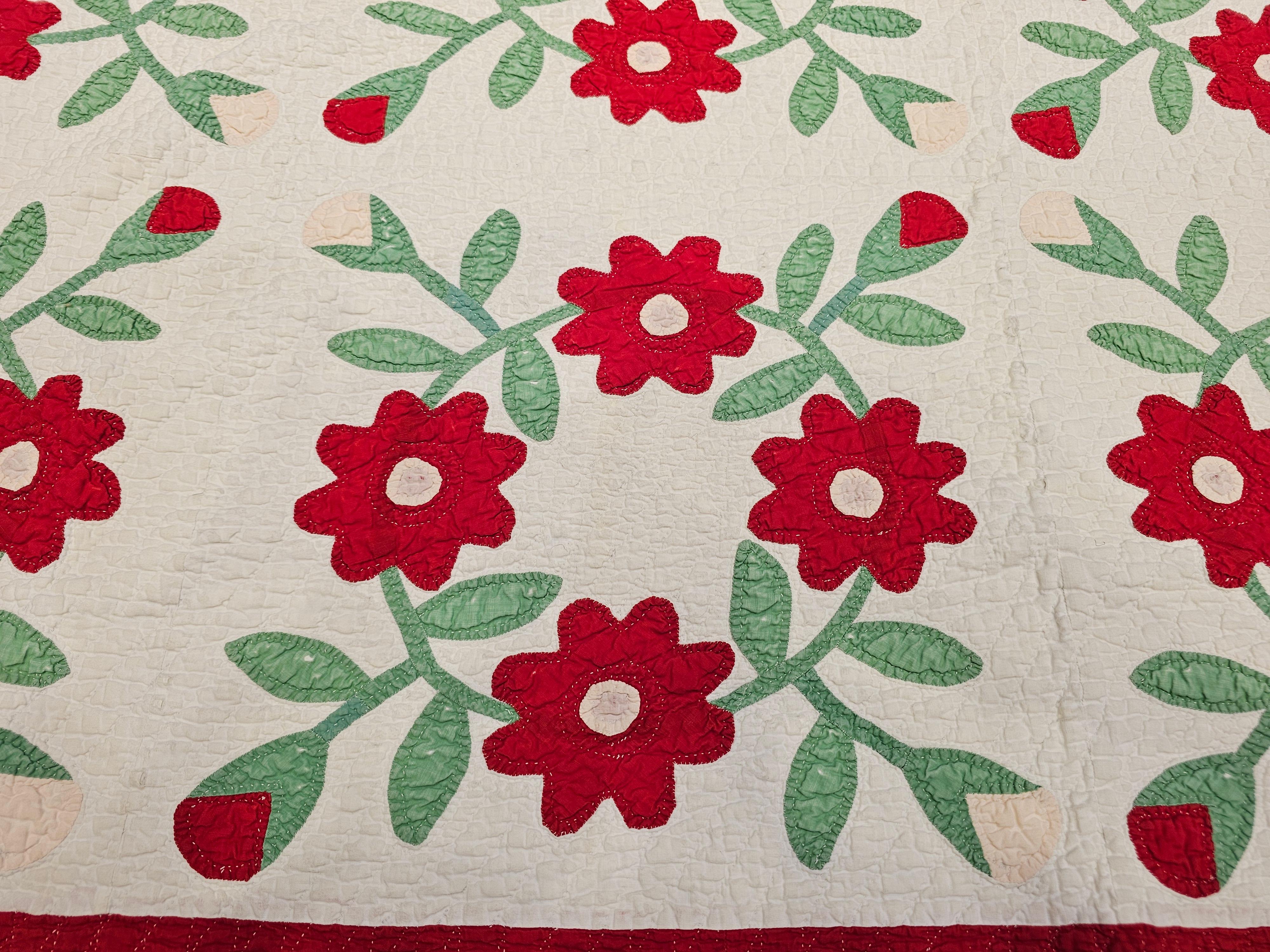 19th Century American Applique Quilt in Floral Pattern from Pennsylvania For Sale 5