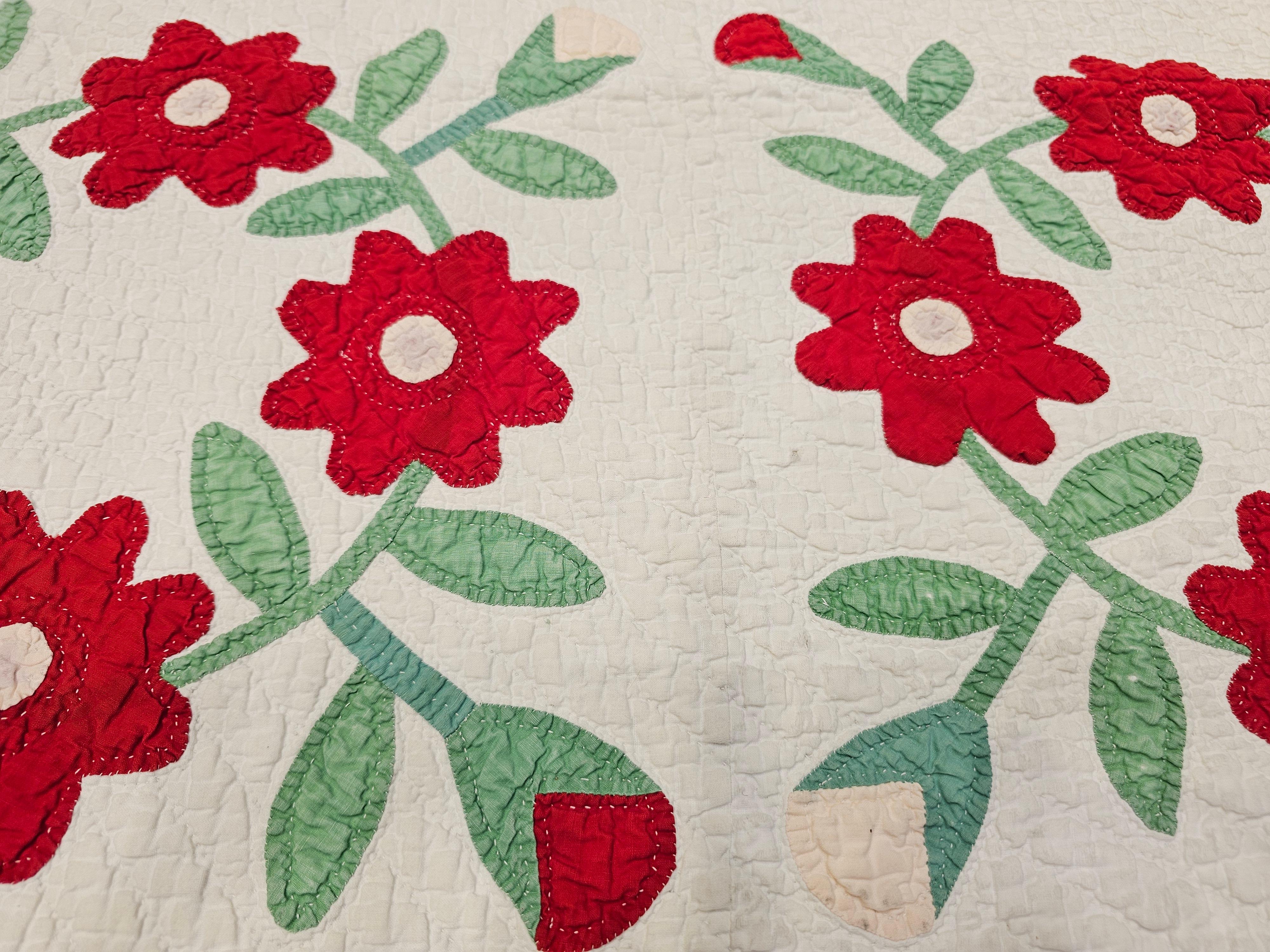 19th Century American Applique Quilt in Floral Pattern from Pennsylvania For Sale 7