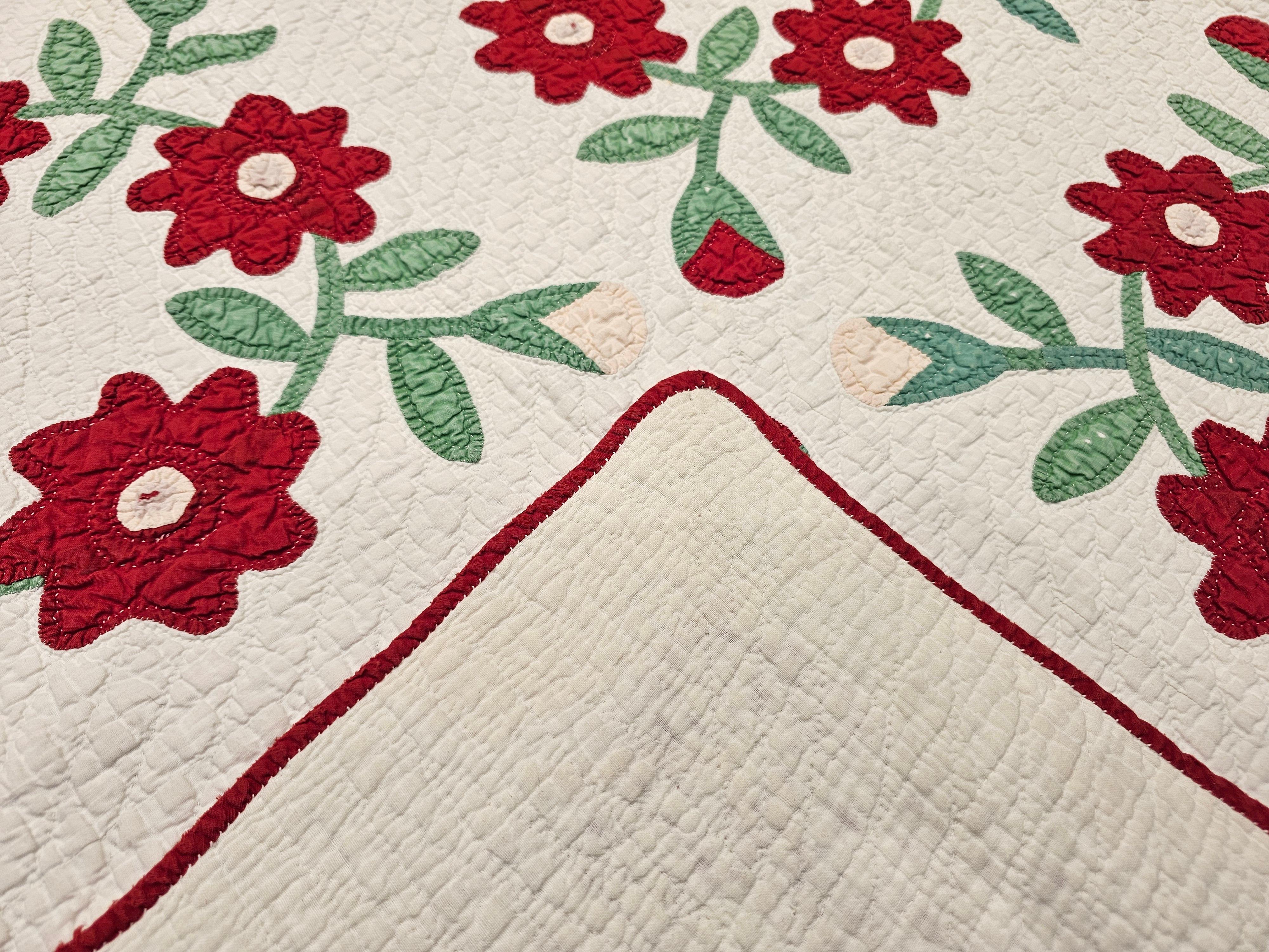 19th Century American Applique Quilt in Floral Pattern from Pennsylvania For Sale 8
