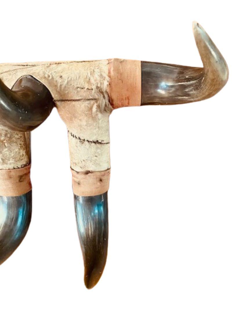 Folk Art 19th Century American Bison Horn Wall Mount