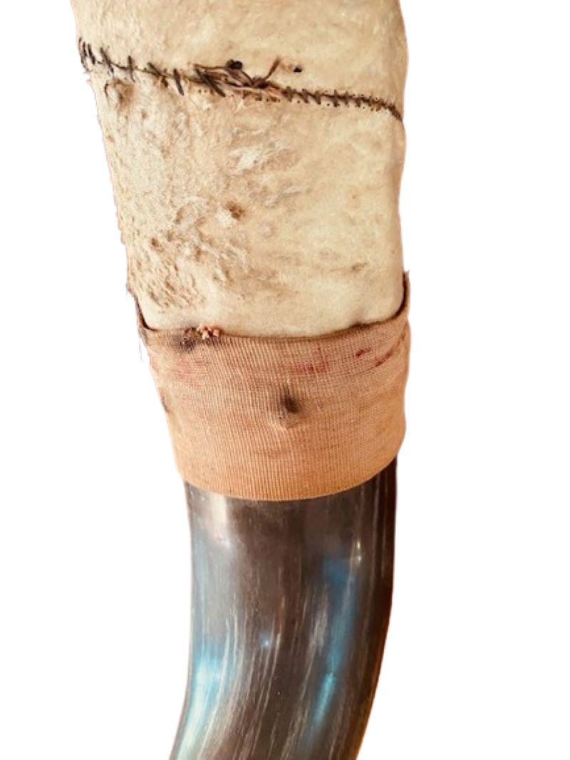 19th Century American Bison Horn Wall Mount In Good Condition In Nantucket, MA